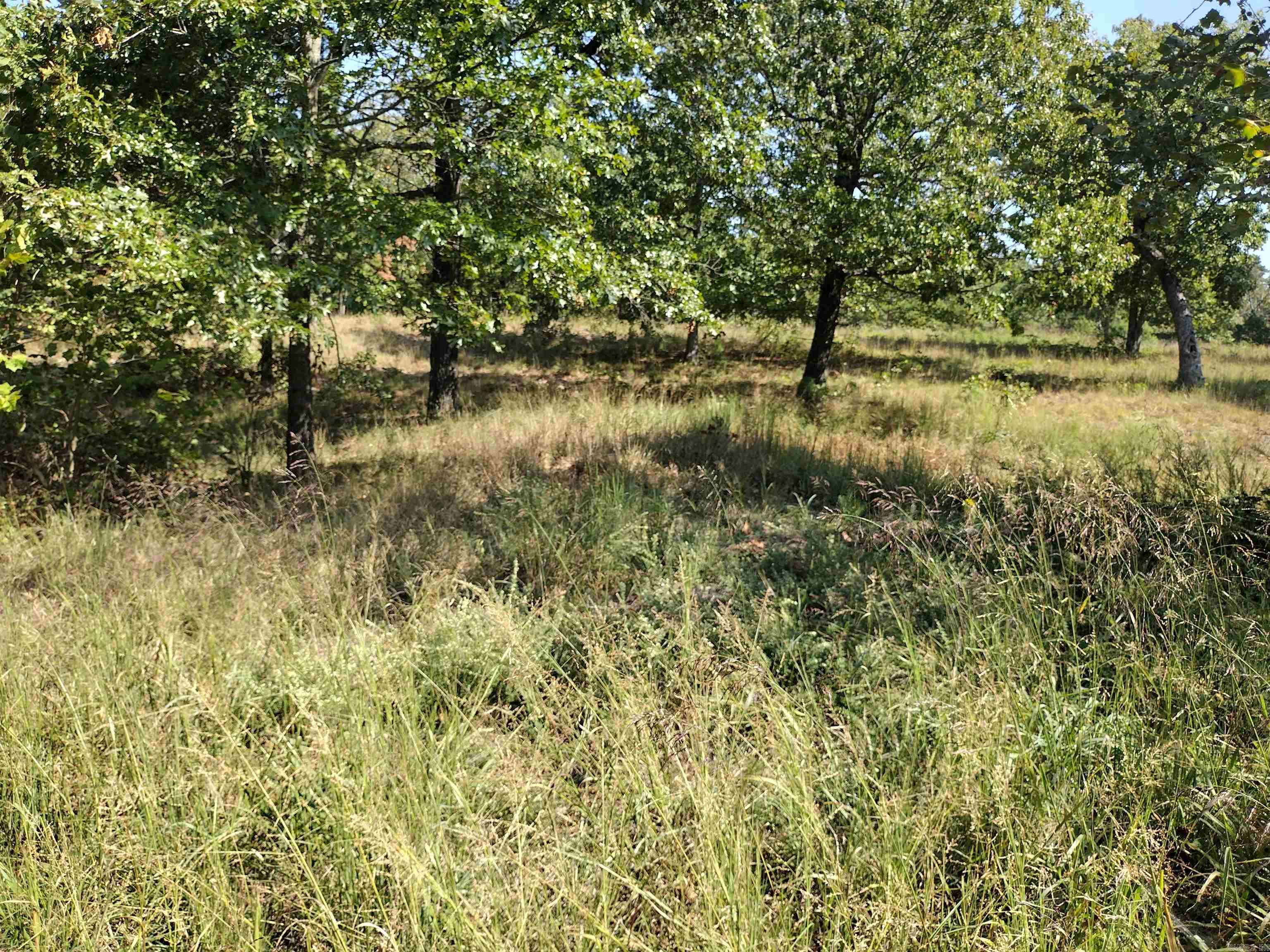 0 Toad Hollow Rd Property Photo 17