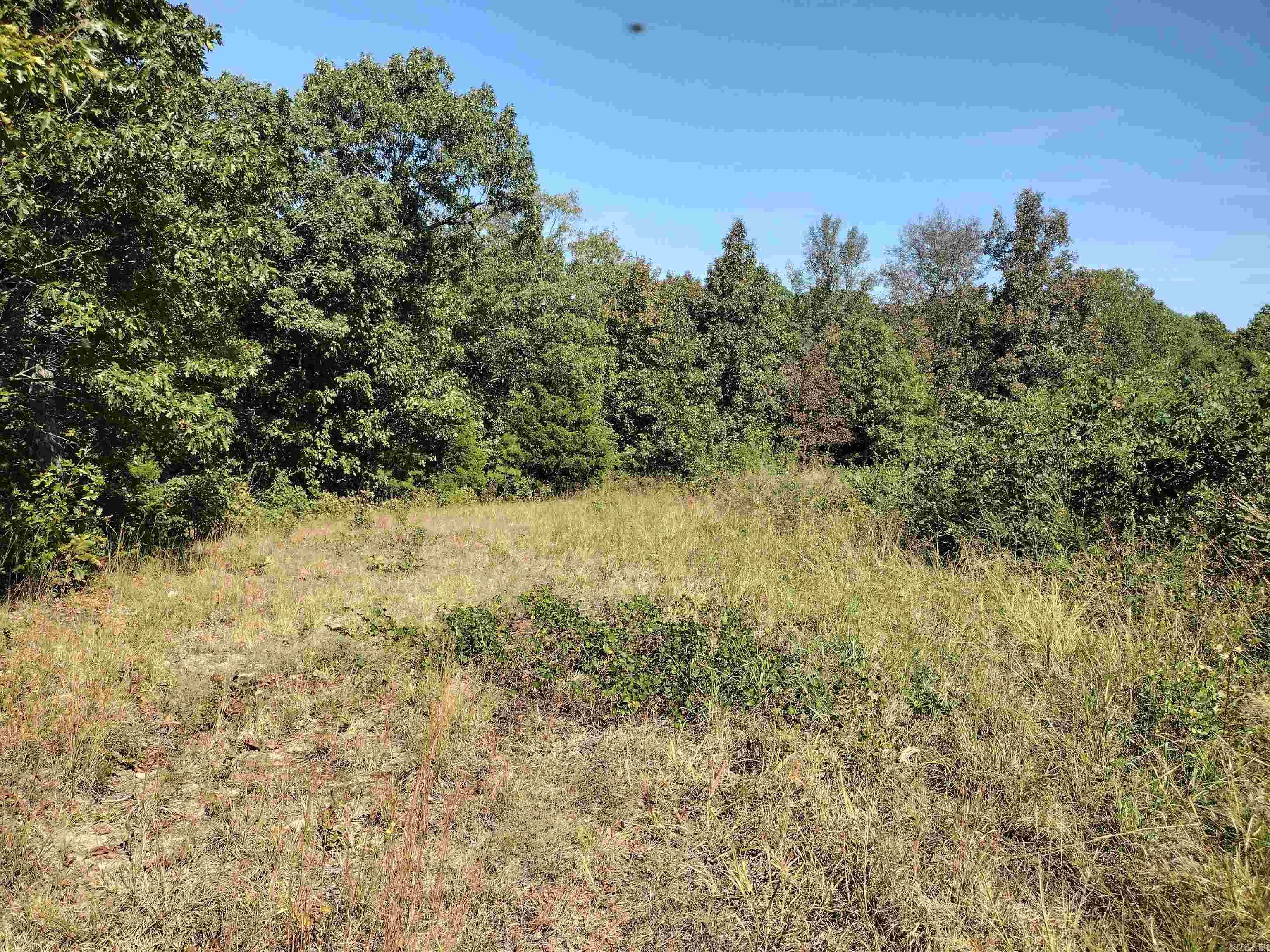 0 Toad Hollow Rd Property Photo 18