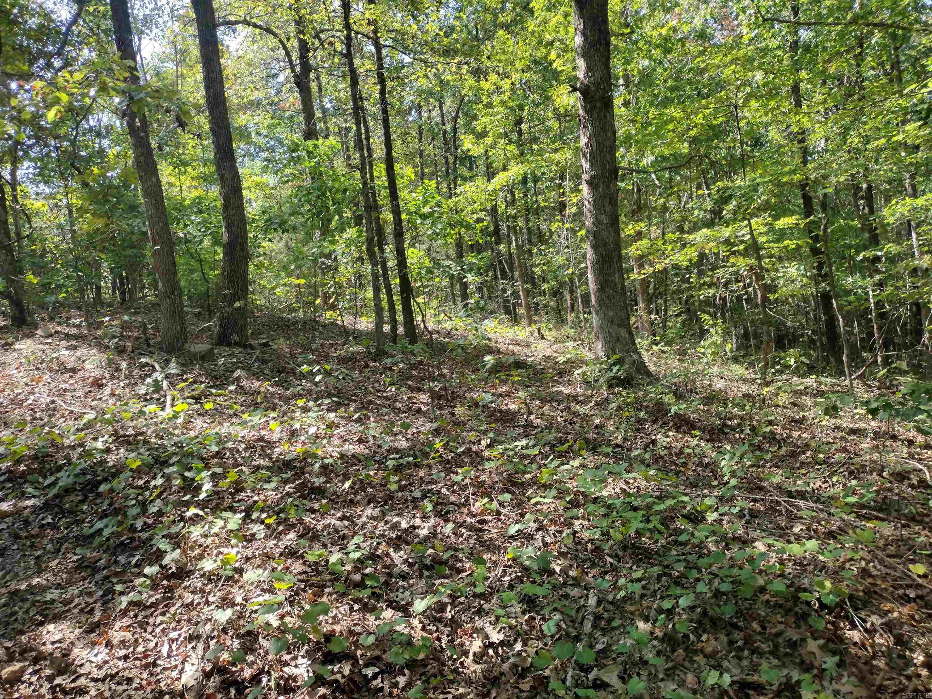 0 Toad Hollow Rd Property Photo 19
