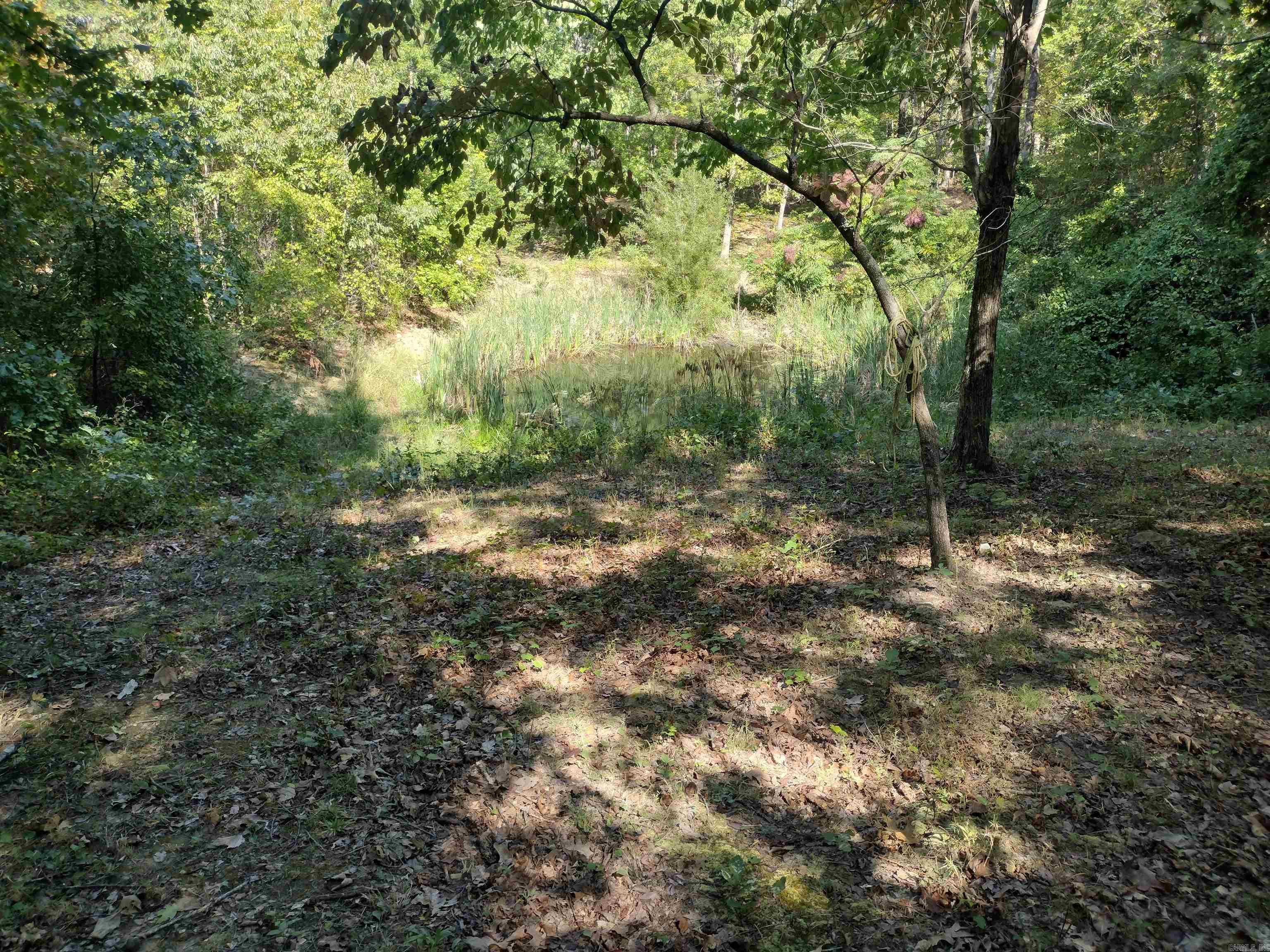 0 Toad Hollow Rd Property Photo 26