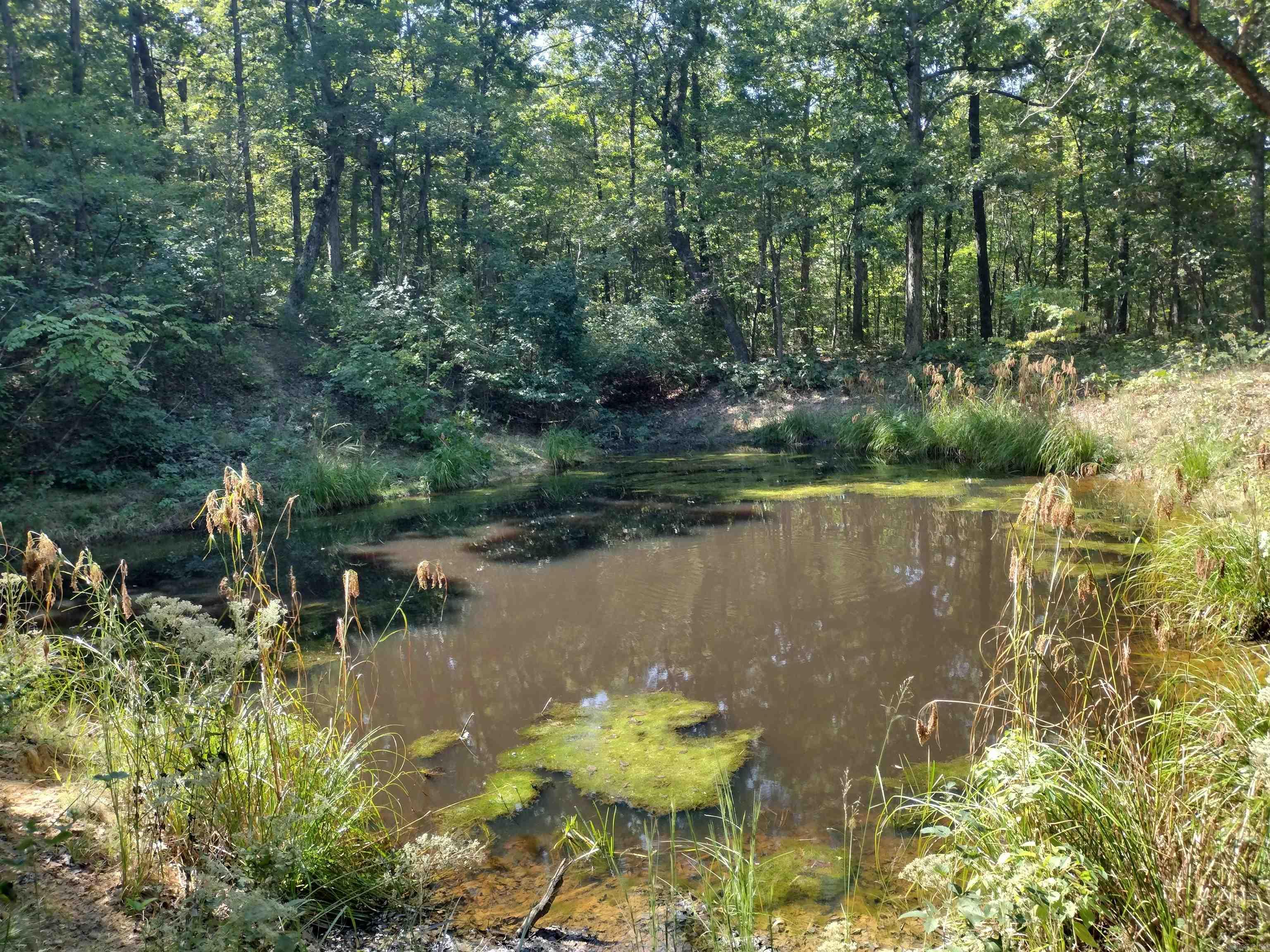 0 Toad Hollow Rd Property Photo 29