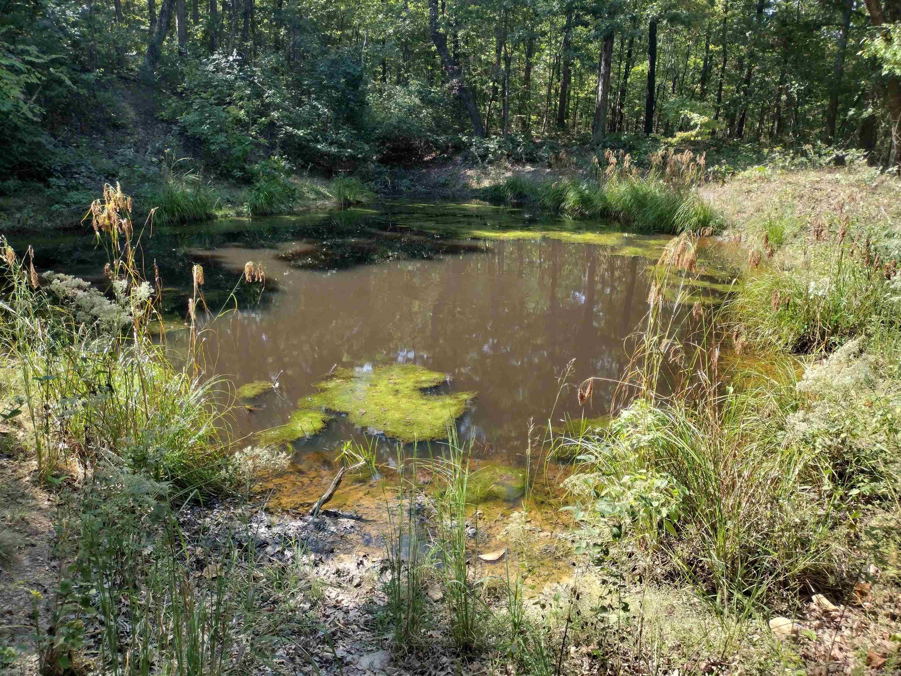 0 Toad Hollow Rd Property Photo 30