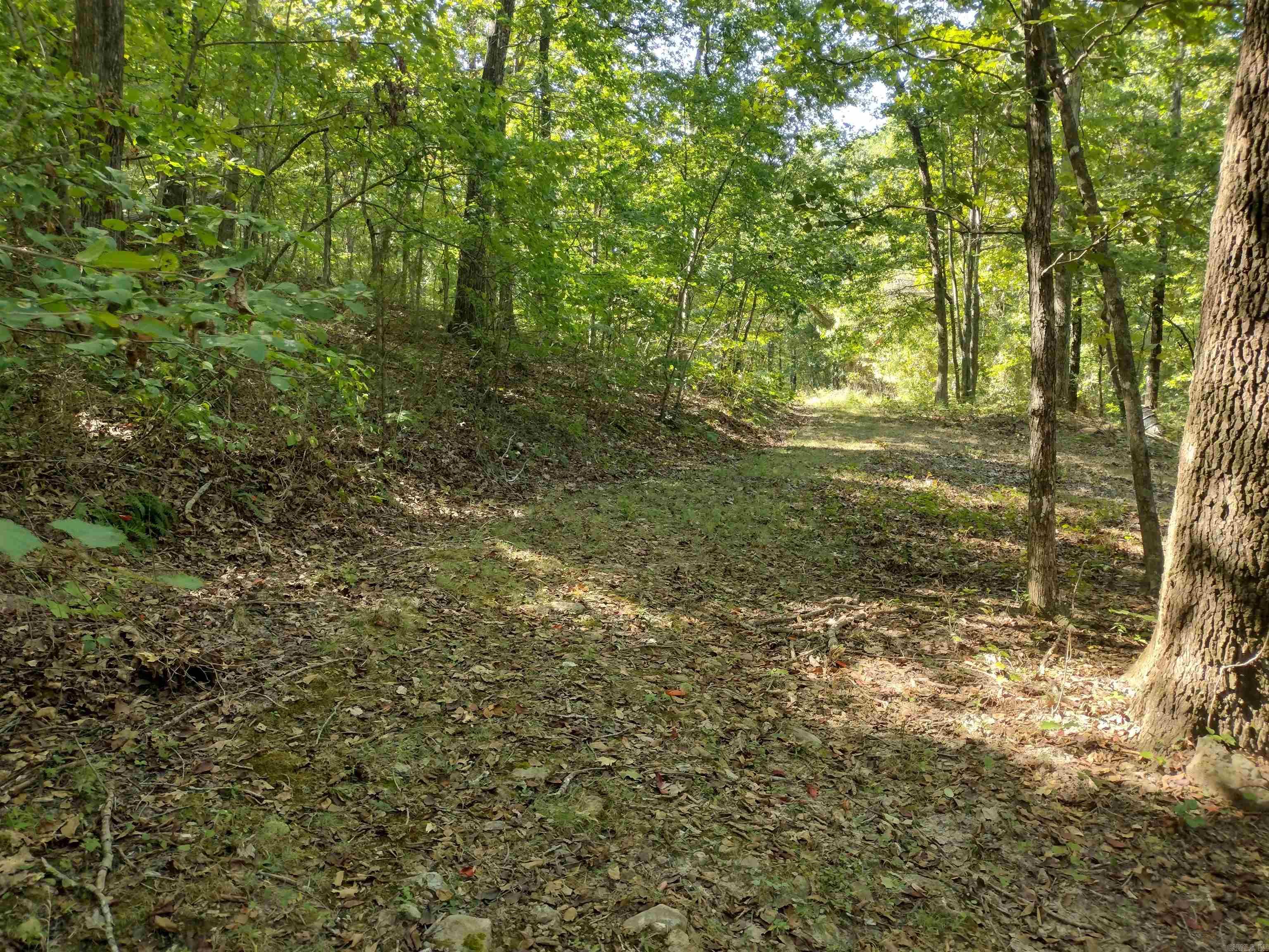 0 Toad Hollow Rd Property Photo 31