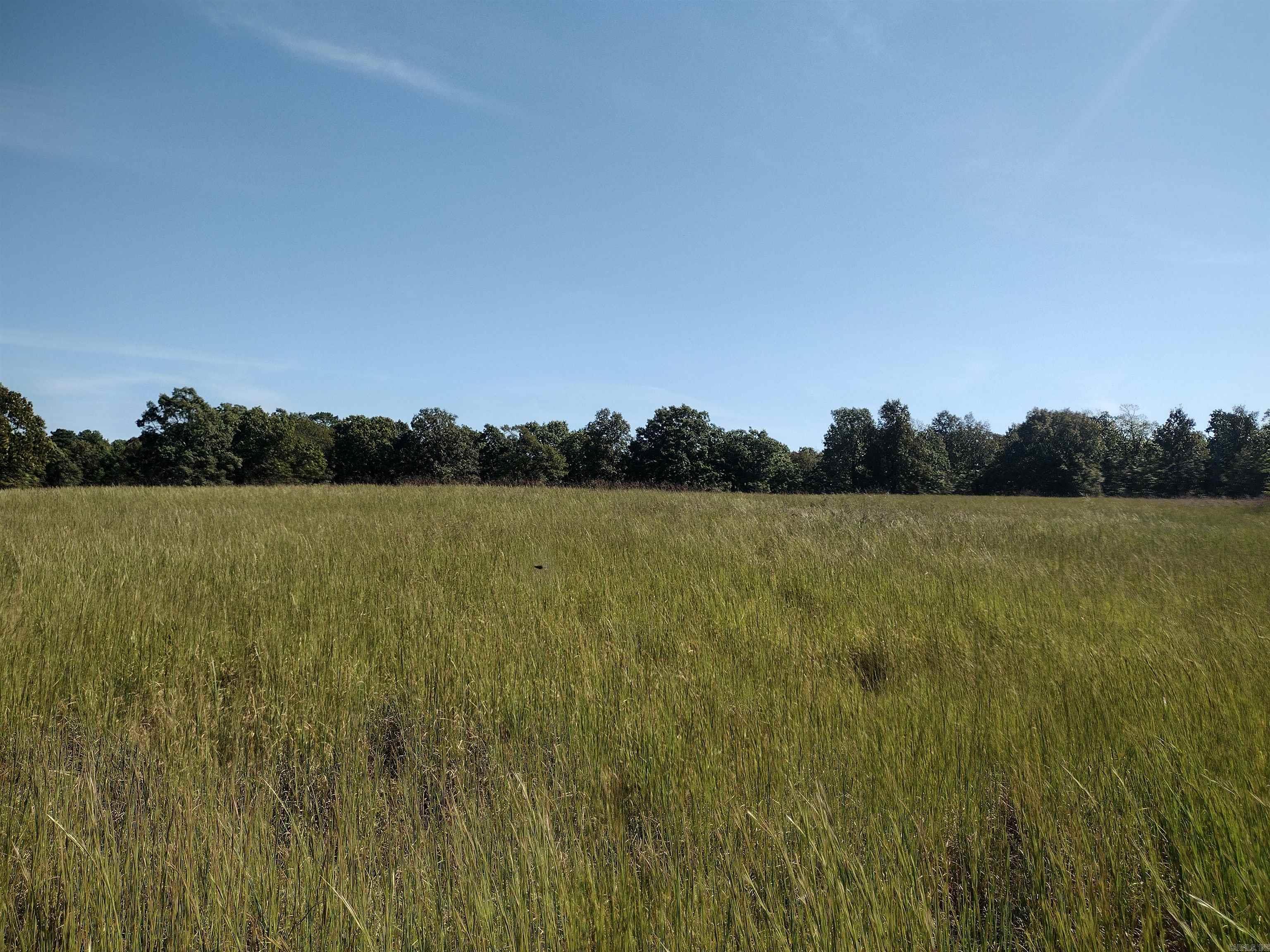 0 Toad Hollow Rd Property Photo 33