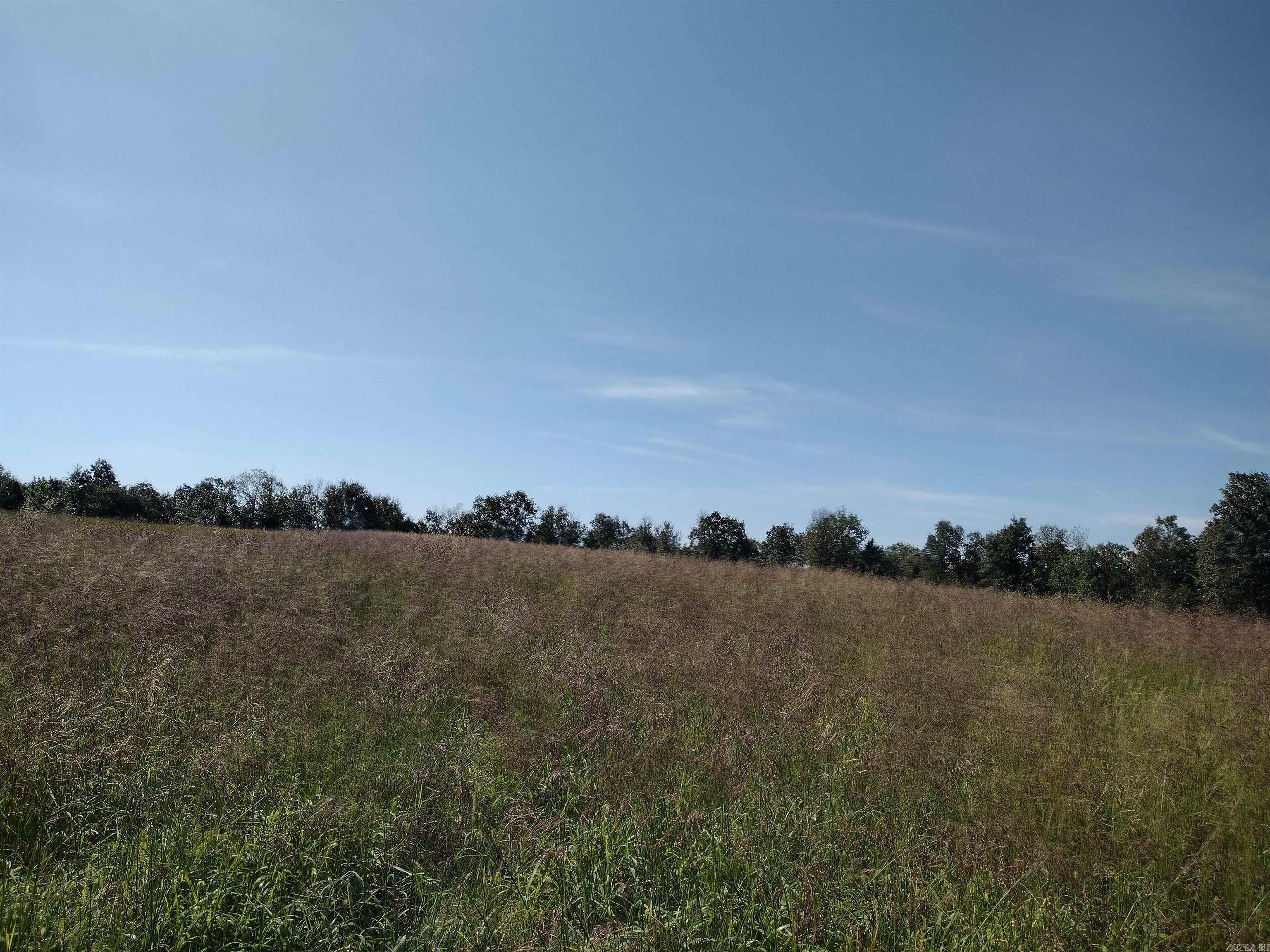 0 Toad Hollow Rd Property Photo 34