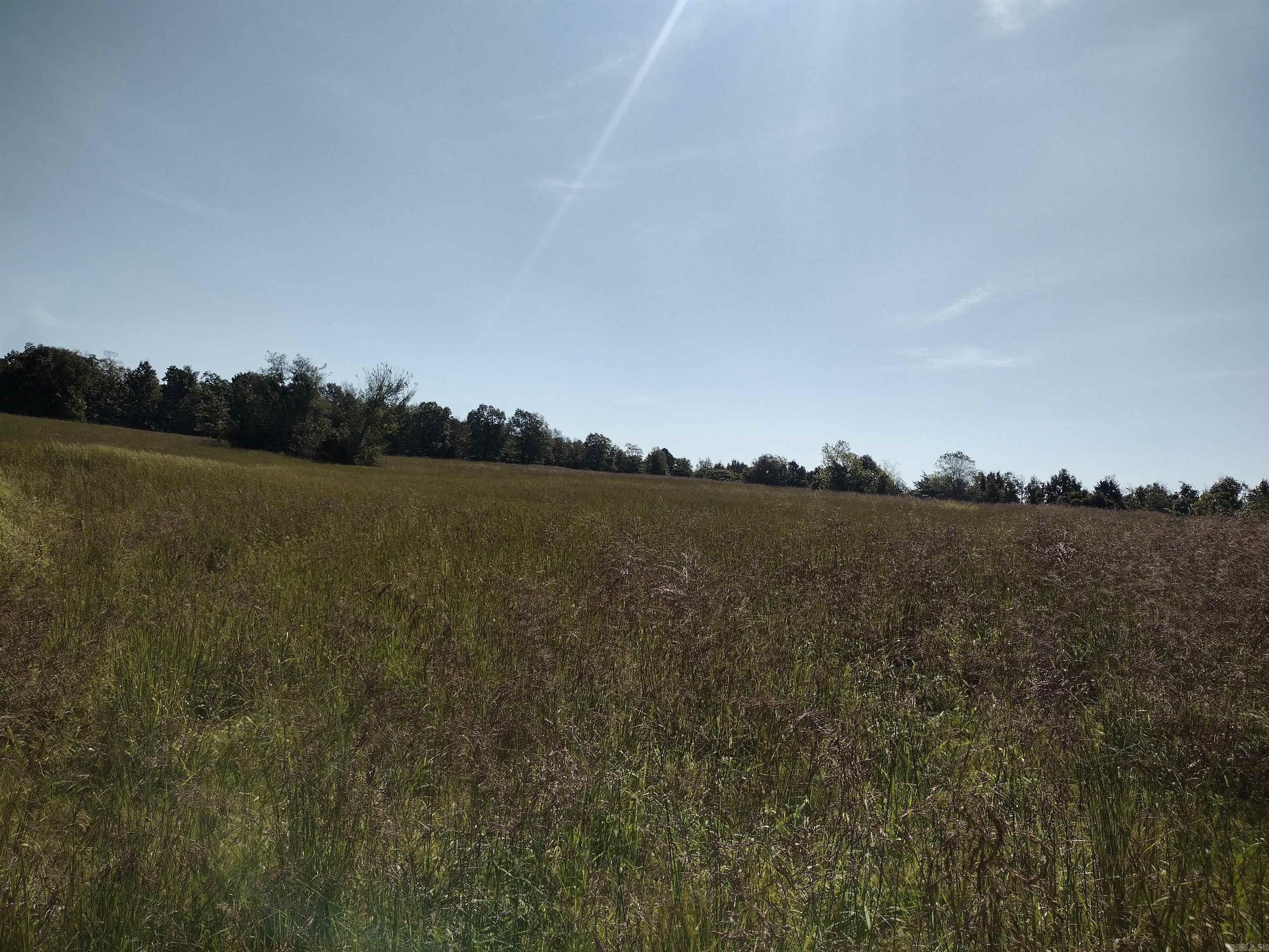 0 Toad Hollow Rd Property Photo 35
