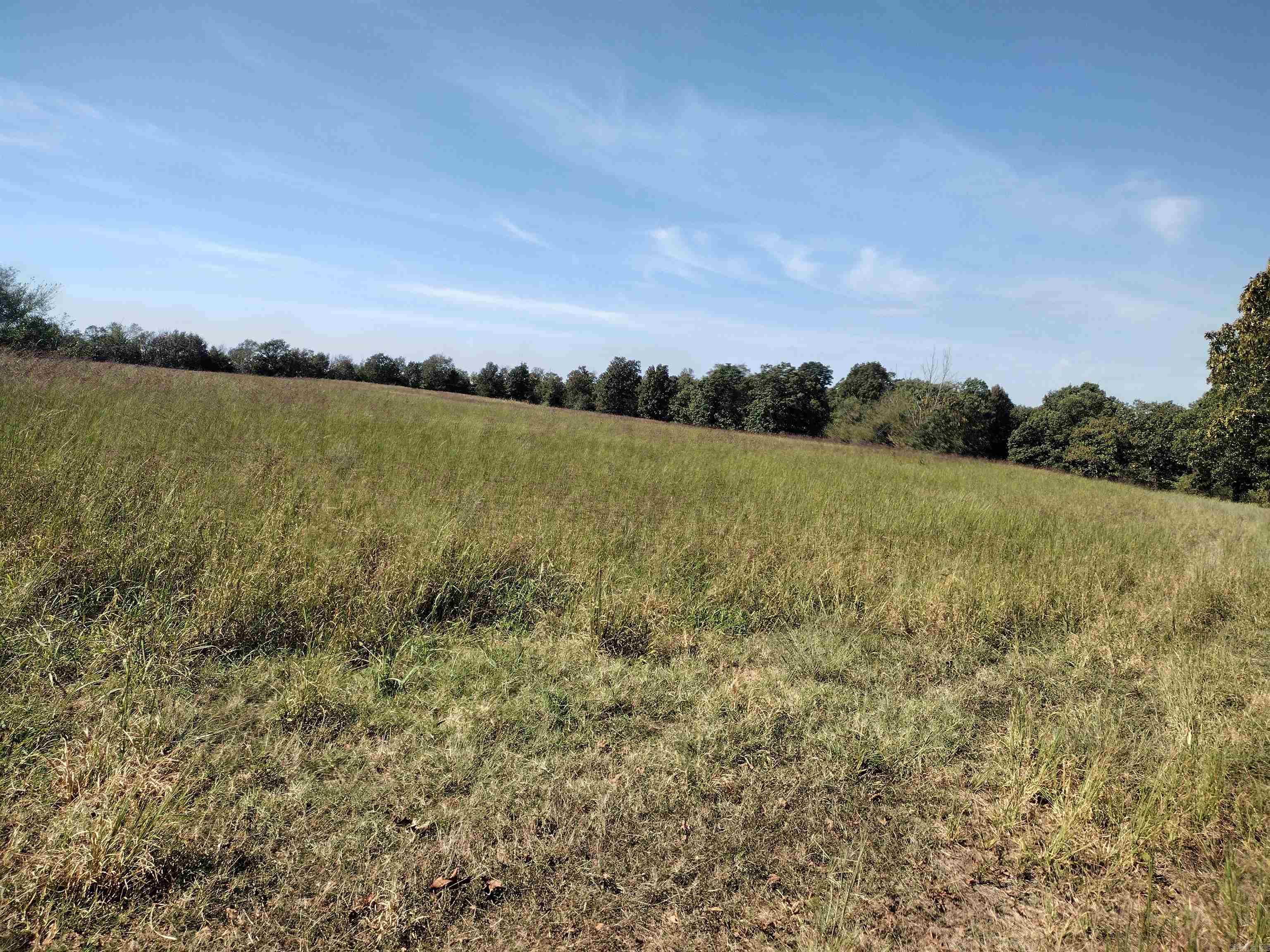 0 Toad Hollow Rd Property Photo 36