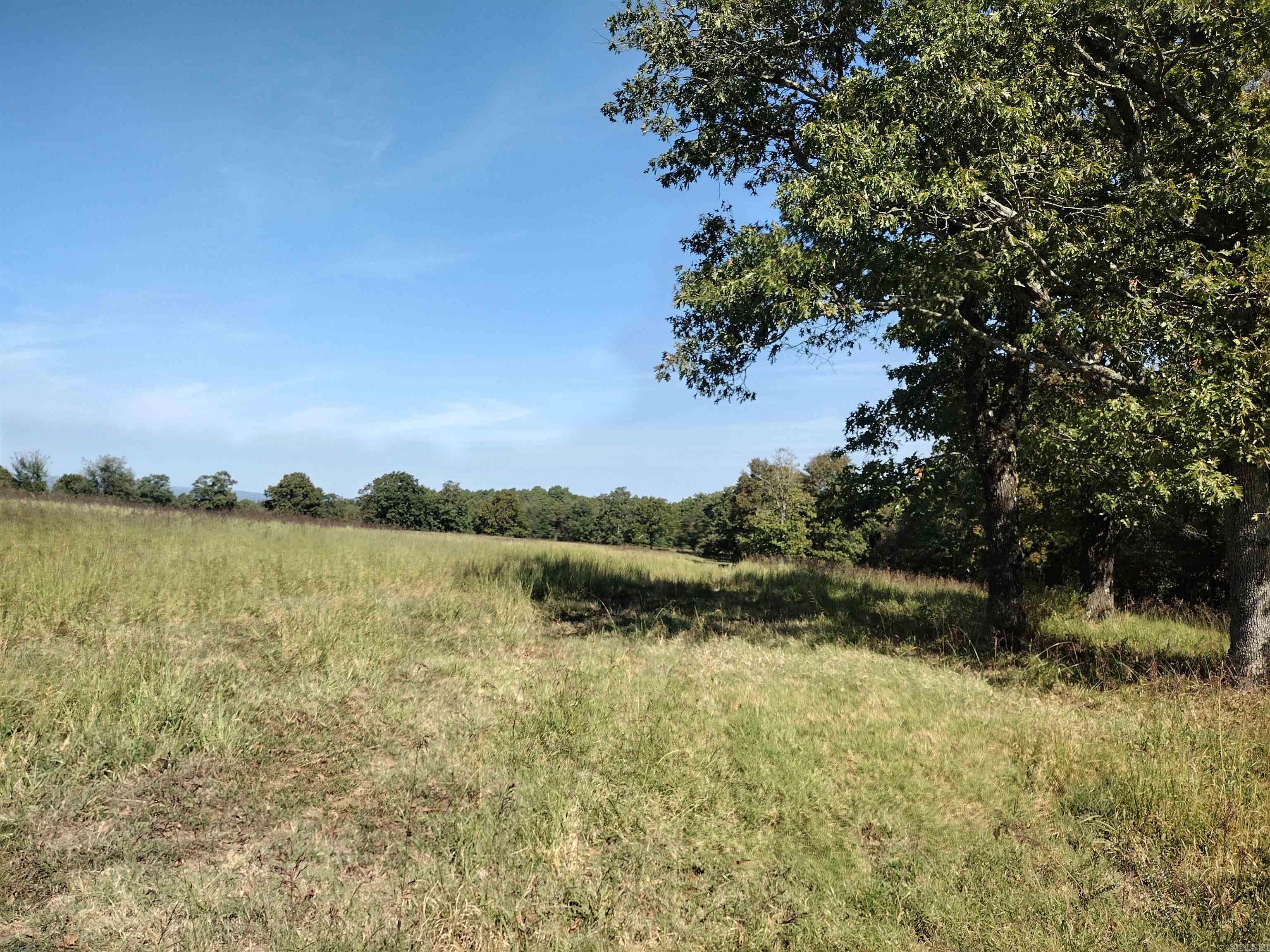 0 Toad Hollow Rd Property Photo 38