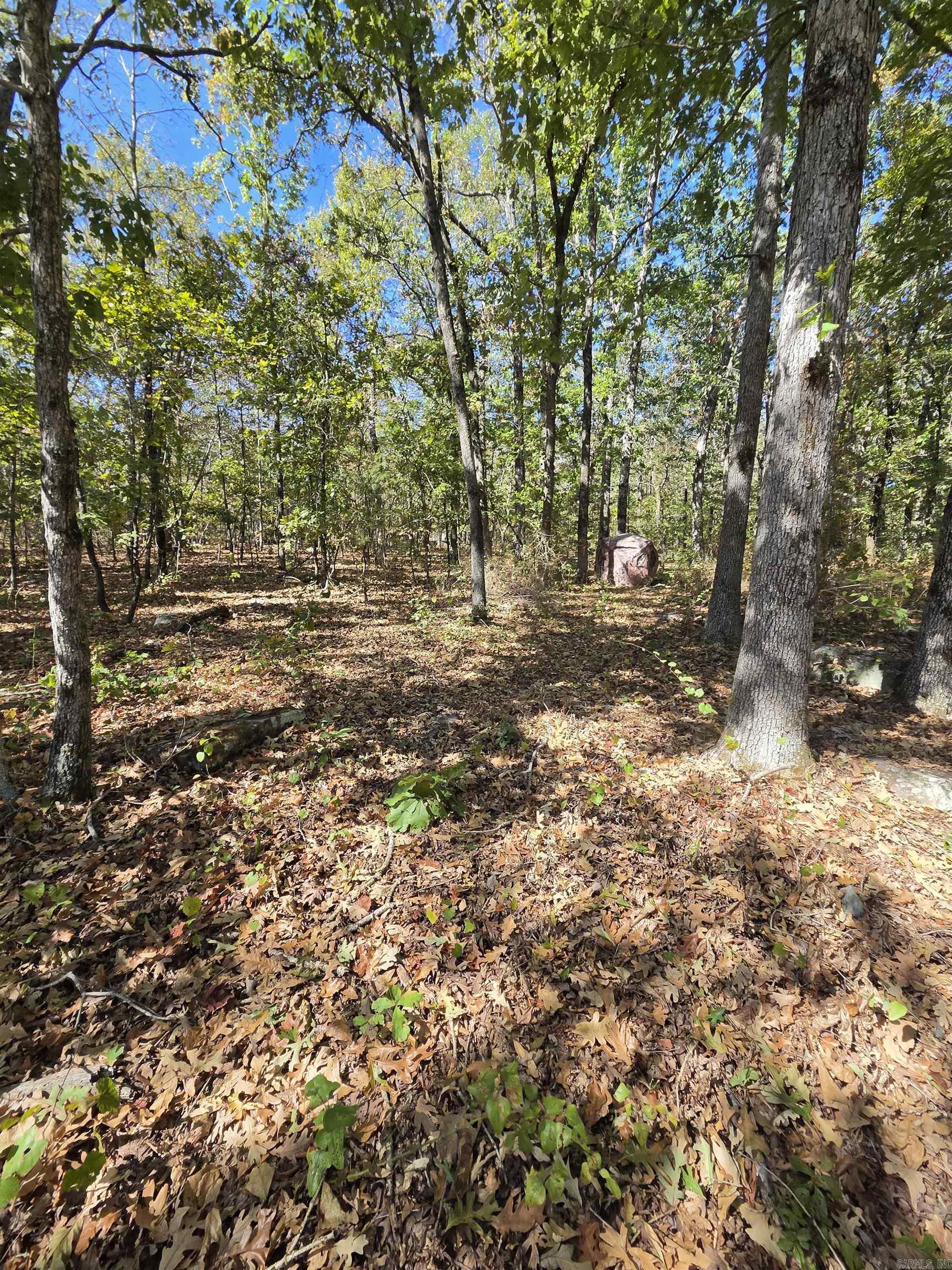 000 Jackson 5 Property Photo 14