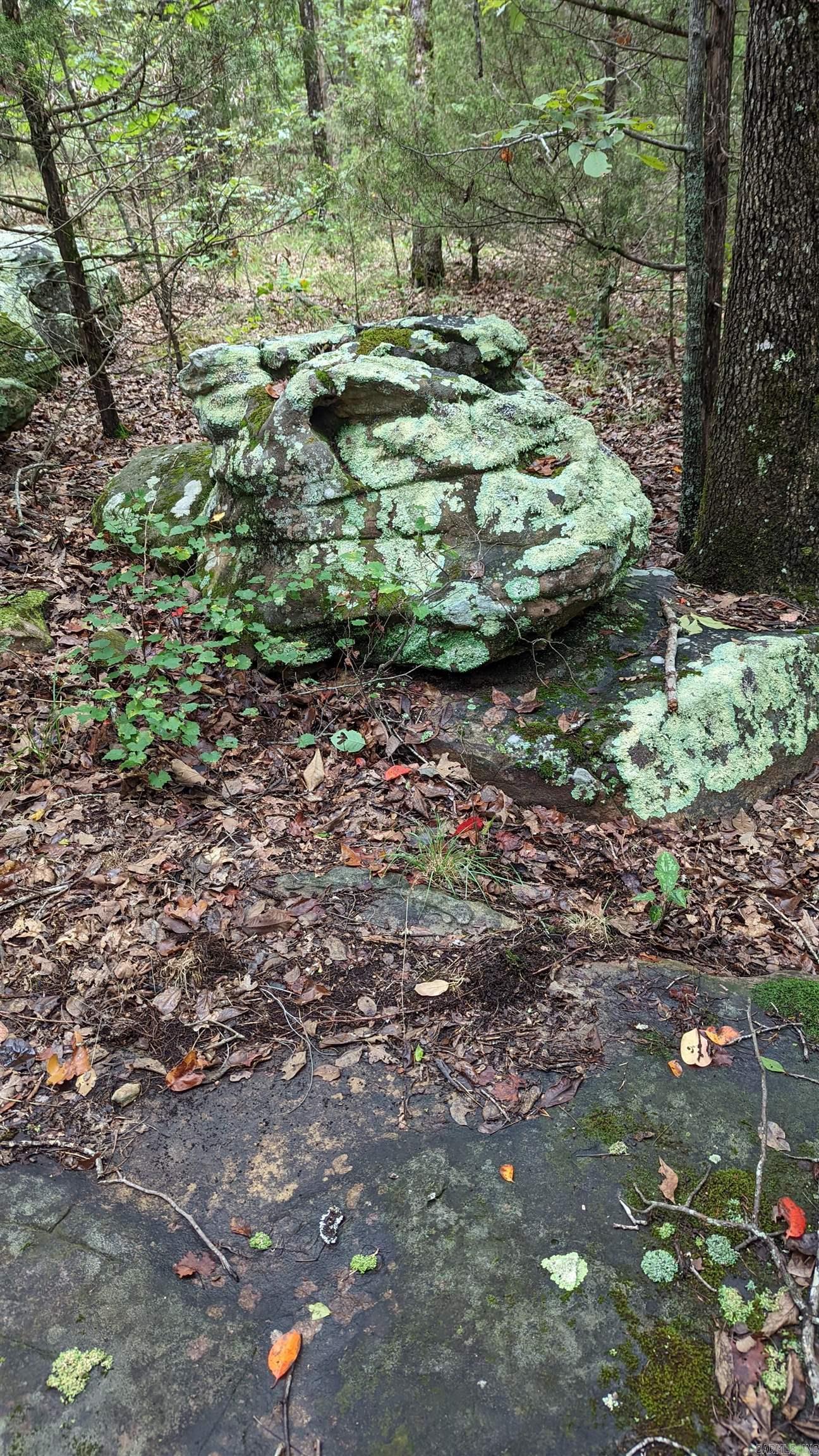 000 Jackson 5 Property Photo 21