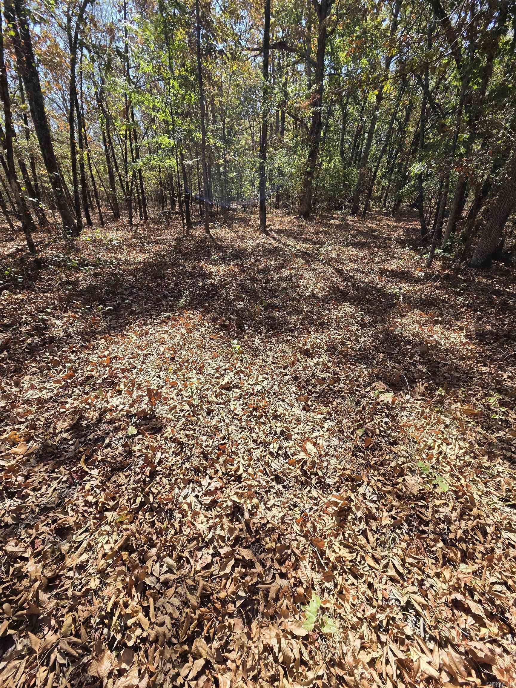 000 Jackson 5 Property Photo 31