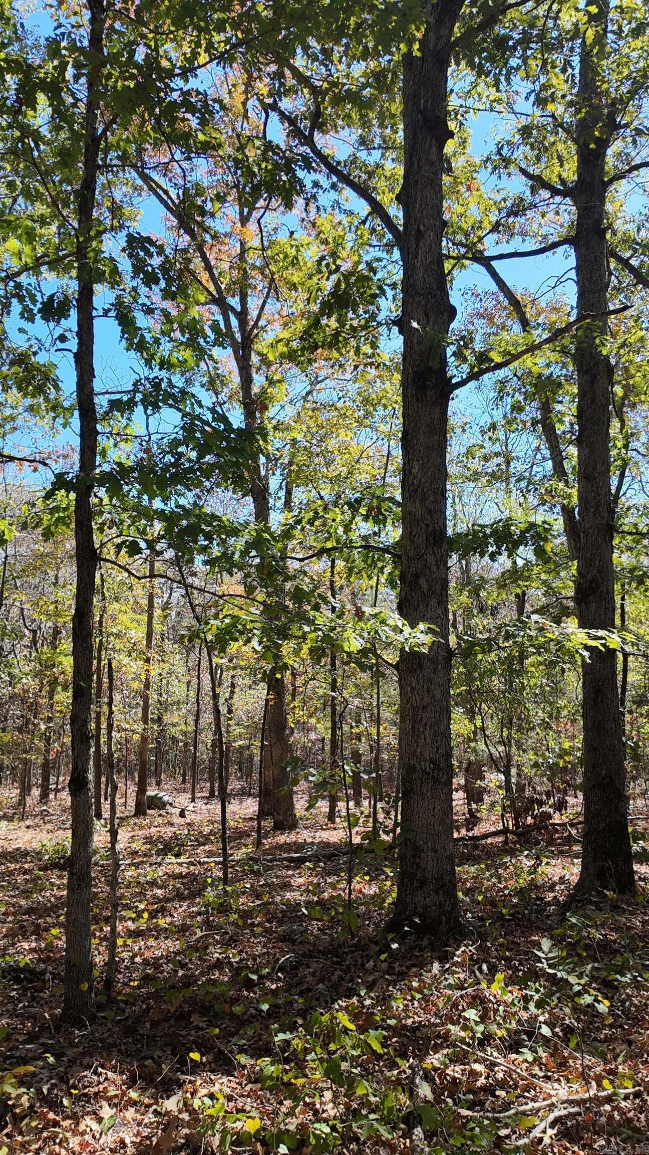 000 Jackson 5 Property Photo 45