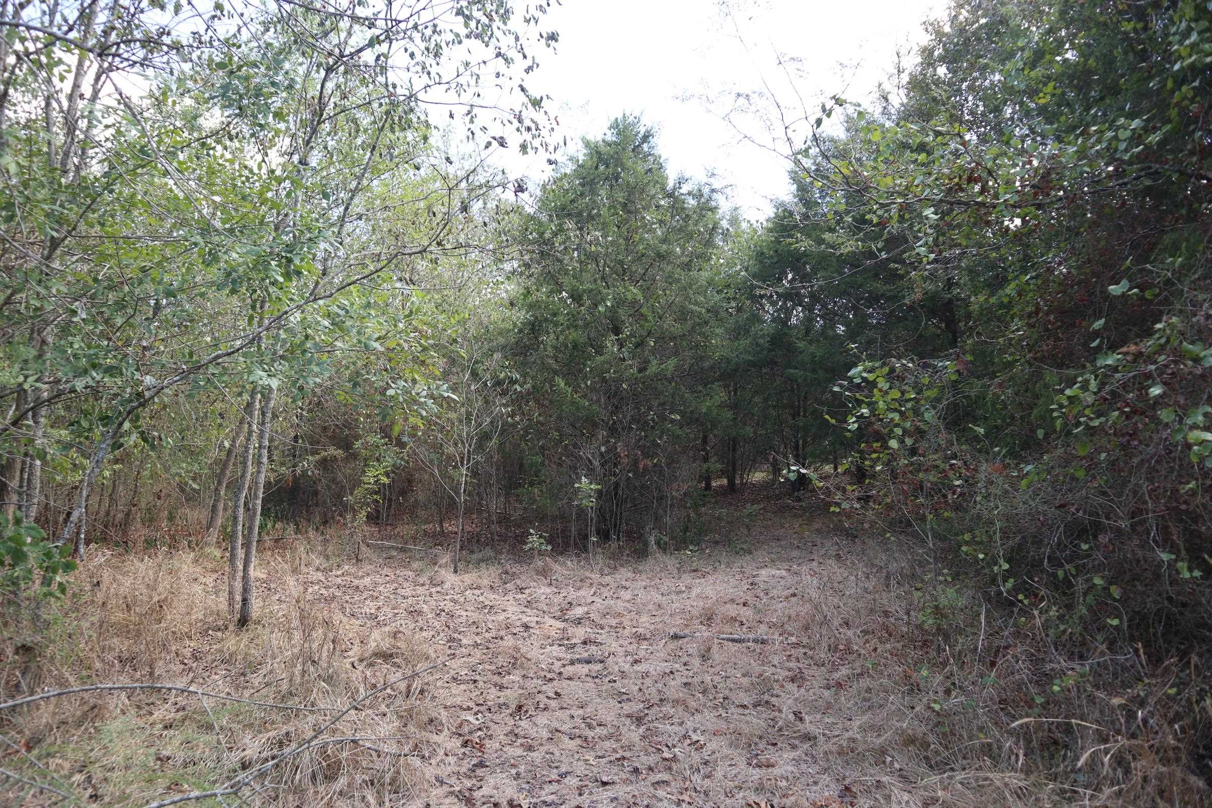 483 Ridge Rd Property Photo 44