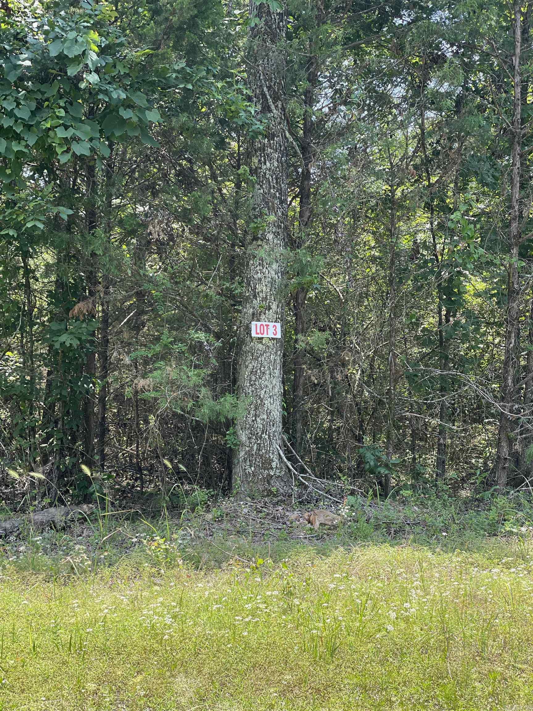 26039750 Property Photo 1