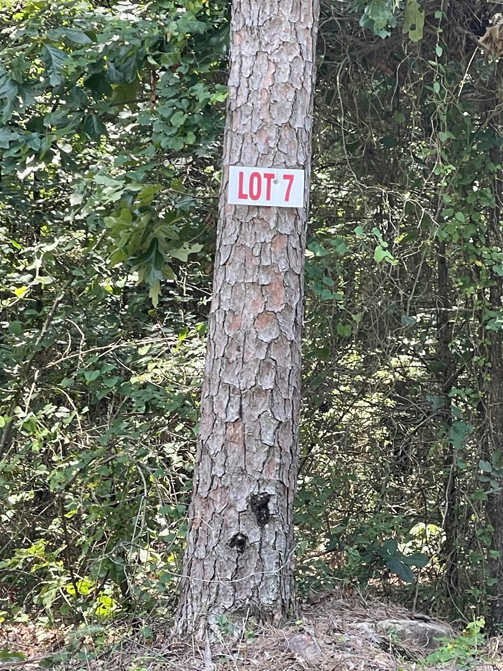 Lot 7 Pleasant Ridge Road Property Photo 1