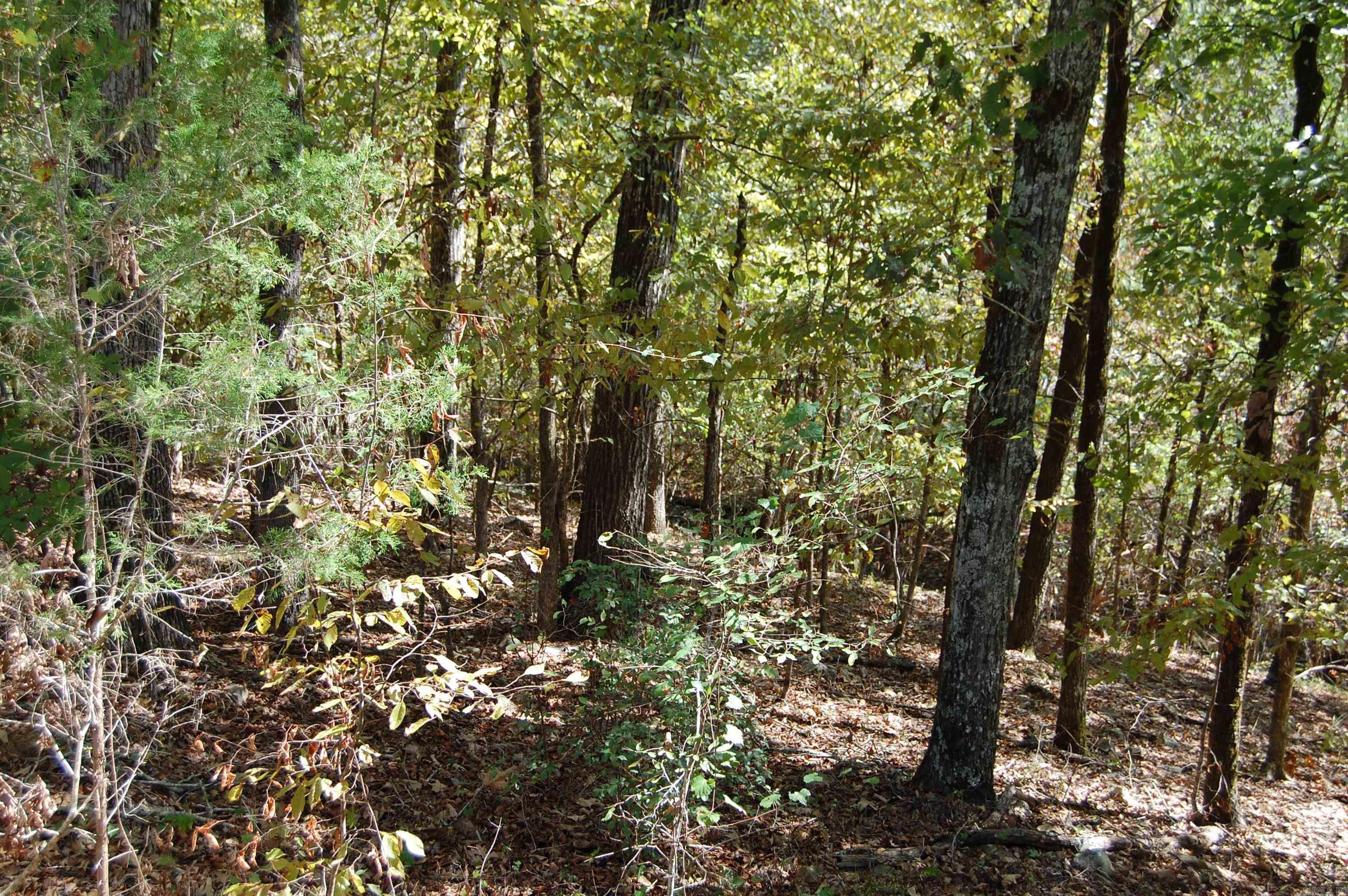1145 Cedar Creek Road Property Photo 36