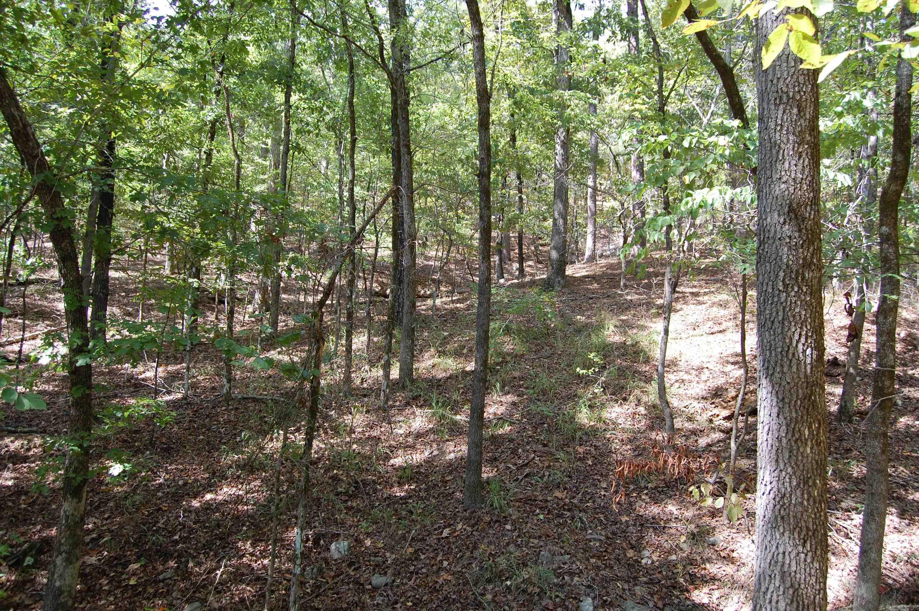 1145 Cedar Creek Road Property Photo 46
