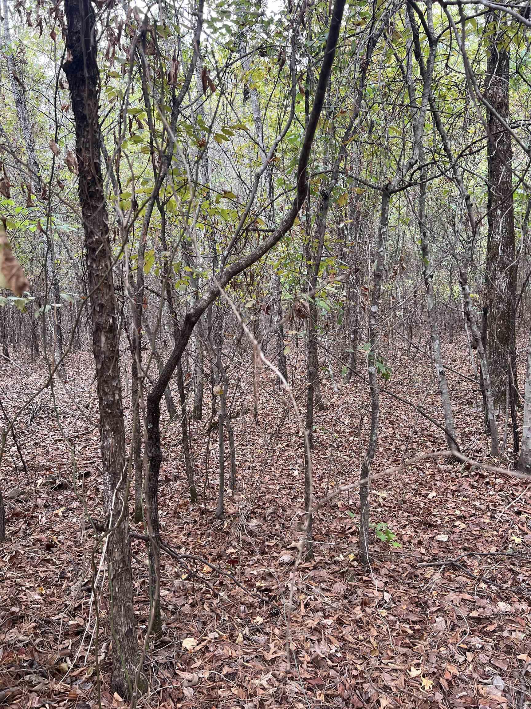 Tbd #2 N Chaparral Property Photo 7