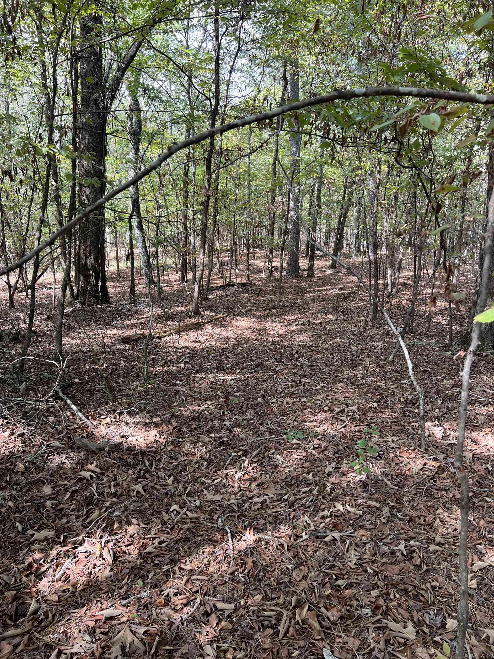 Tbd #2 N Chaparral Property Photo 14