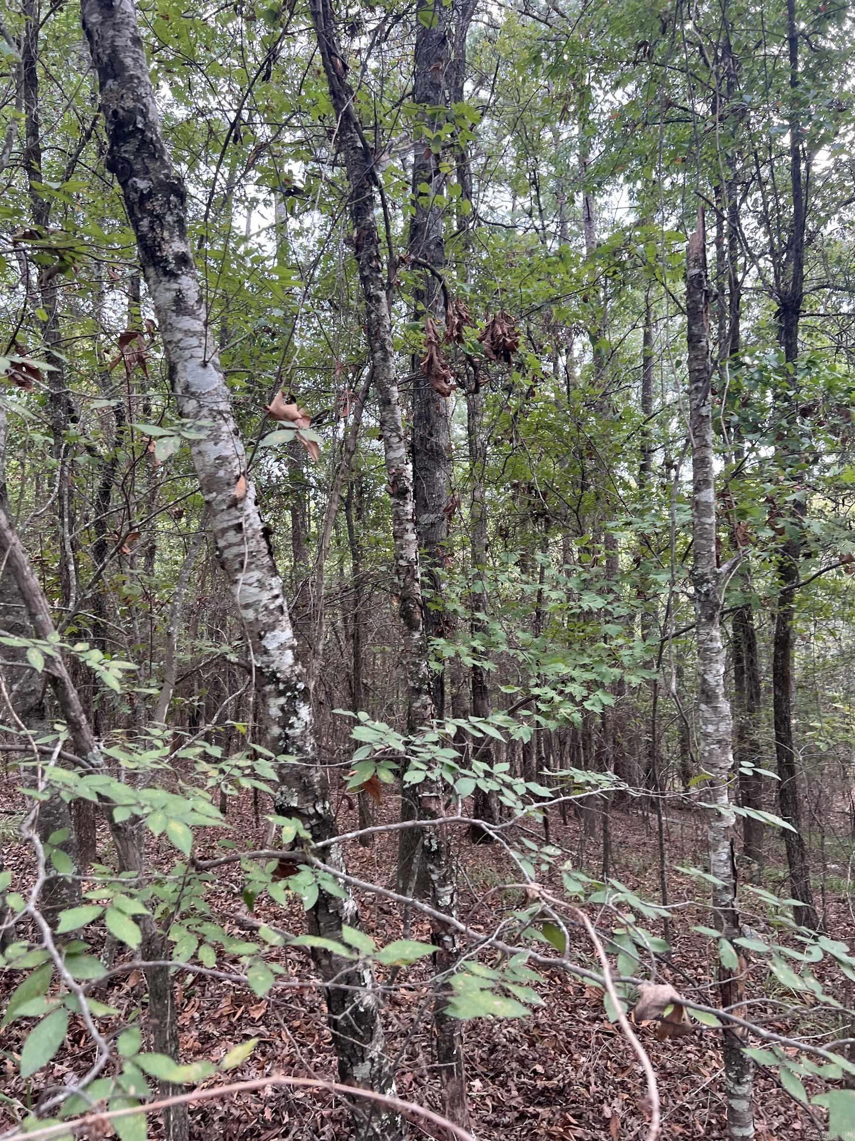 Tbd #2 N Chaparral Property Photo 17