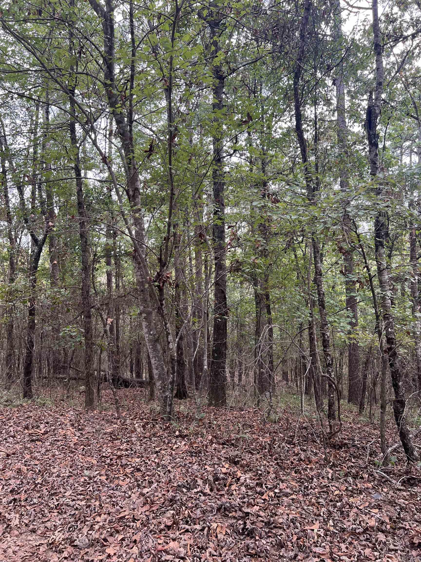 Tbd #2 N Chaparral Property Photo 20