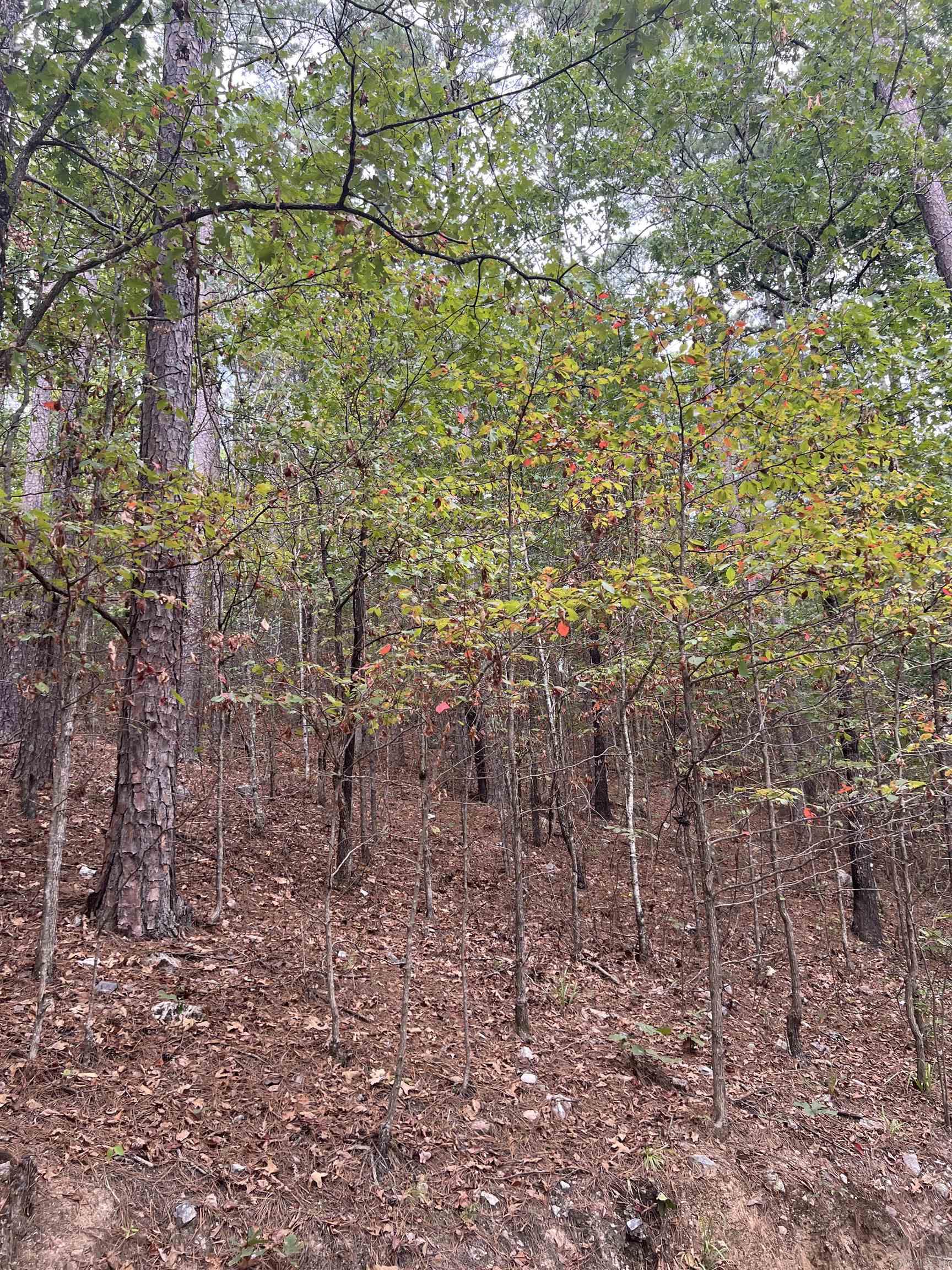 Tbd #1 N Chaparral Lane Property Photo 10