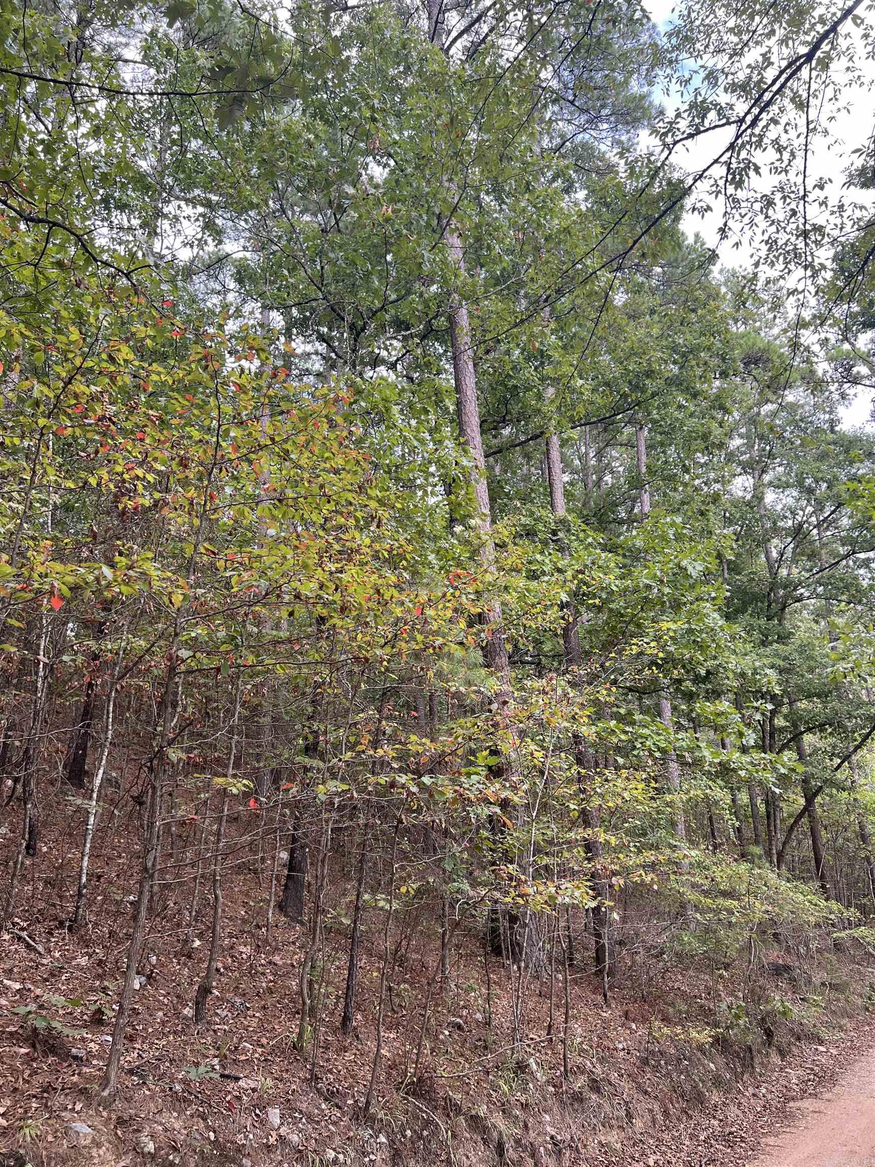 Tbd #1 N Chaparral Lane Property Photo 11