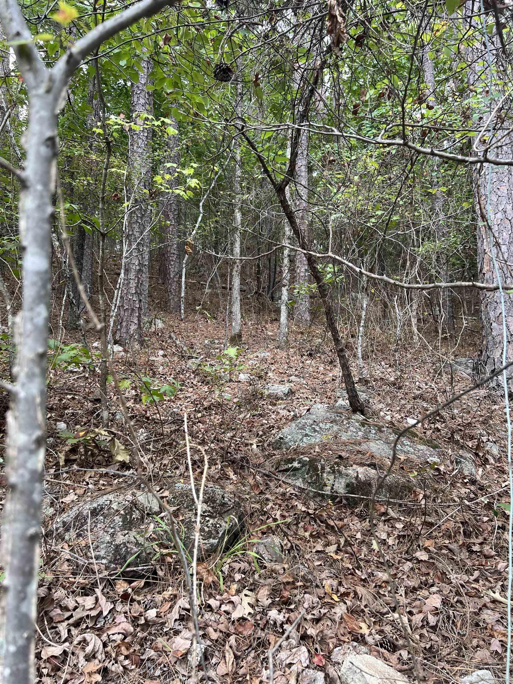 Tbd #1 N Chaparral Lane Property Photo 12