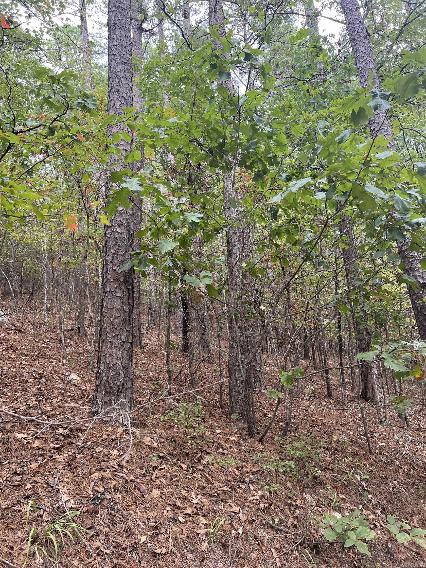 Tbd #1 N Chaparral Lane Property Photo 14