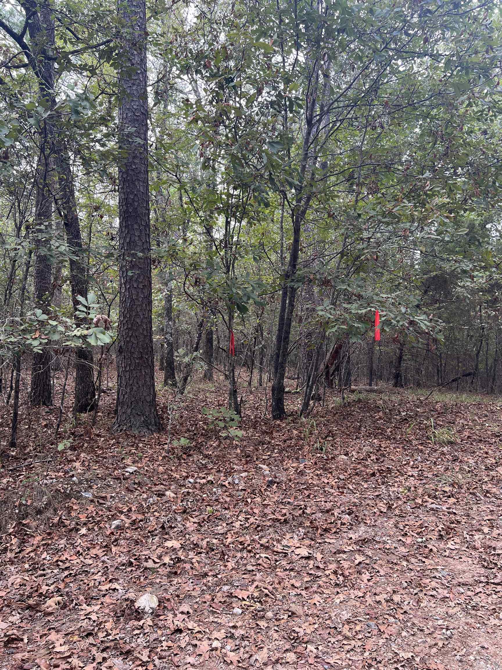 Tbd #1 N Chaparral Lane Property Photo 19
