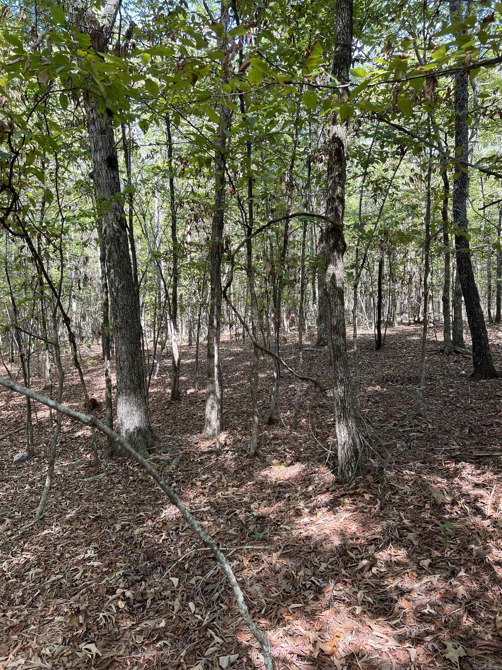 Tbd #1 N Chaparral Lane Property Photo 33