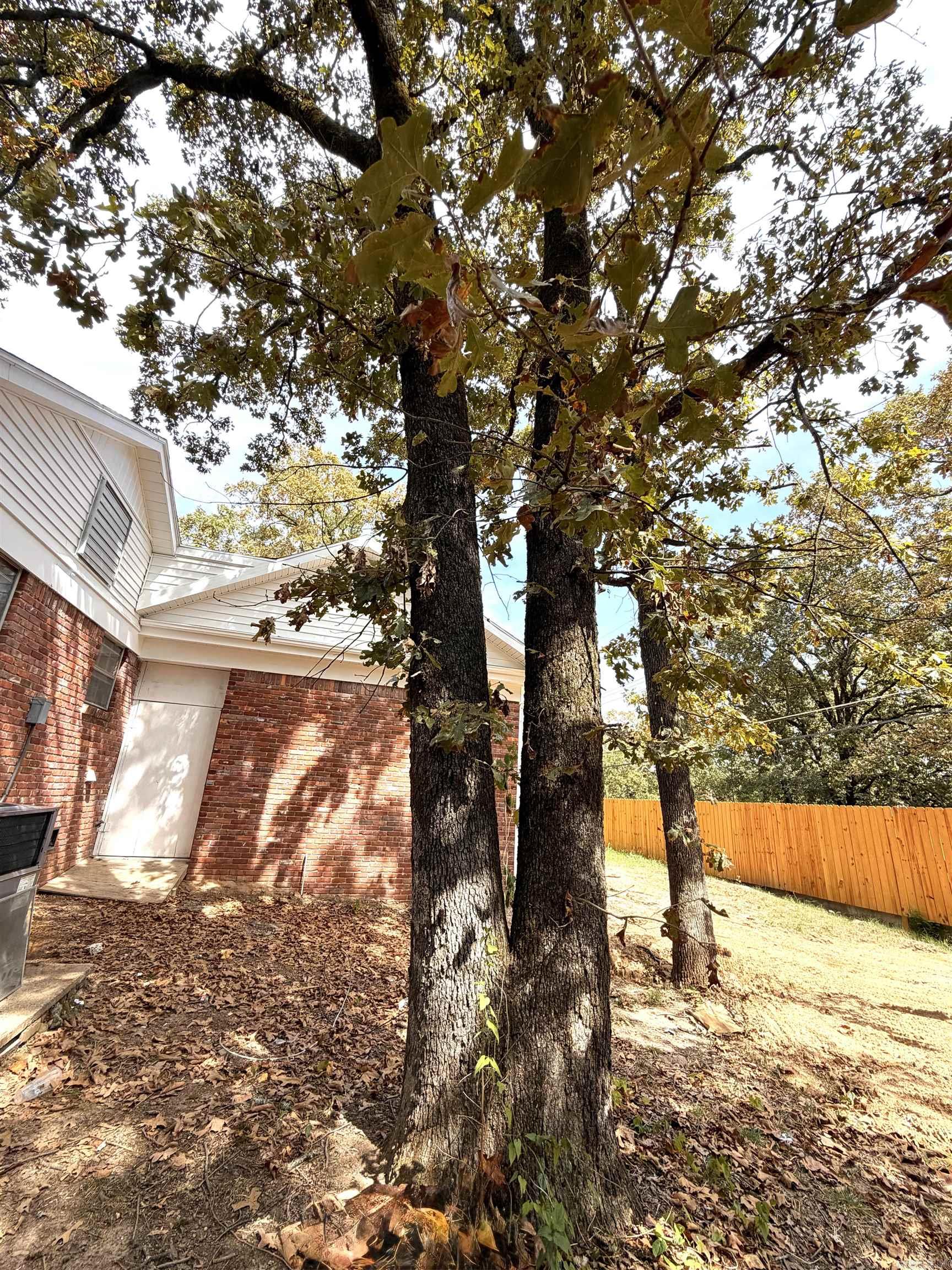 4804 N Locust Street Property Photo 49