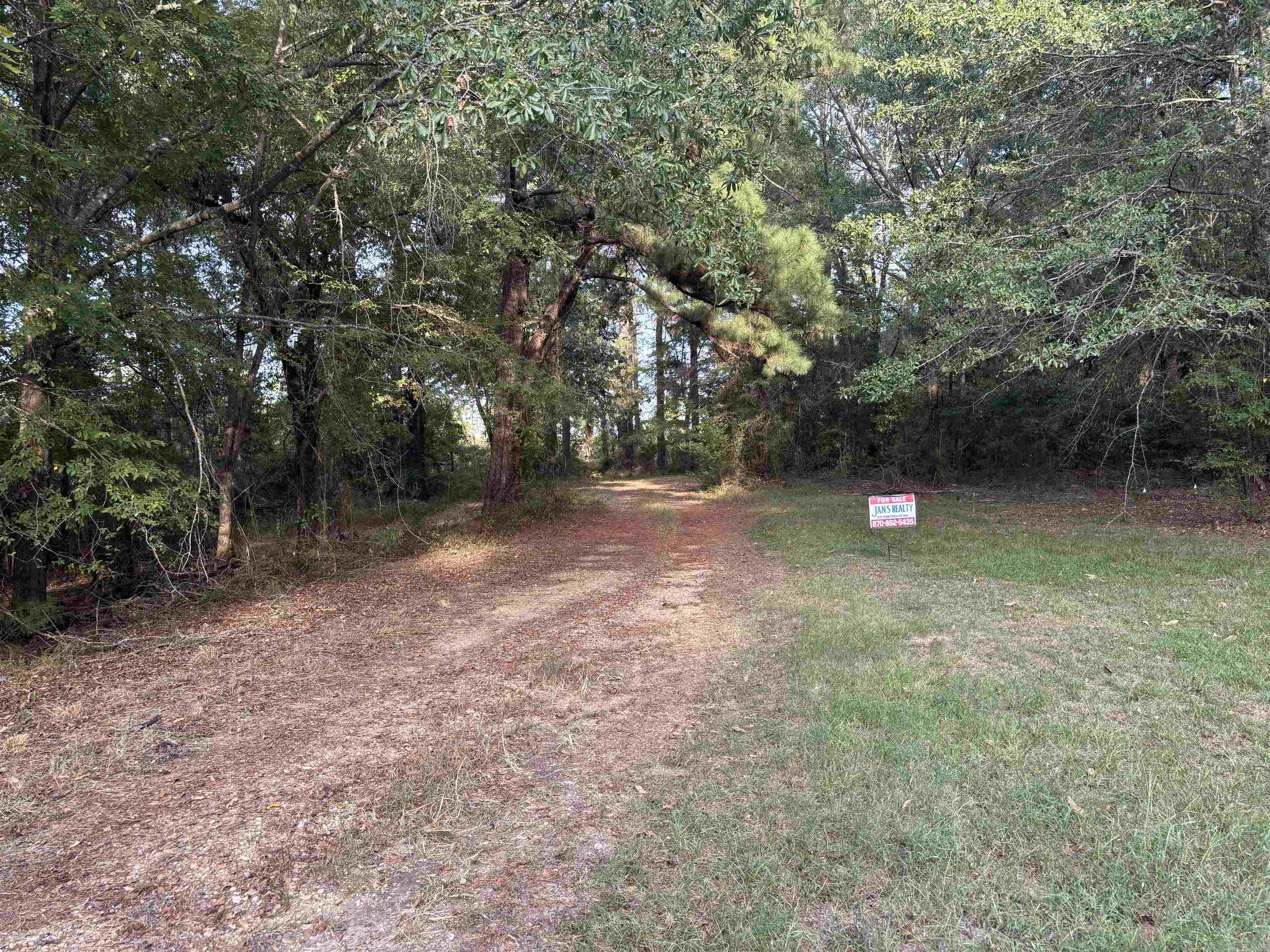156 Ouachita 500 Property Photo 3