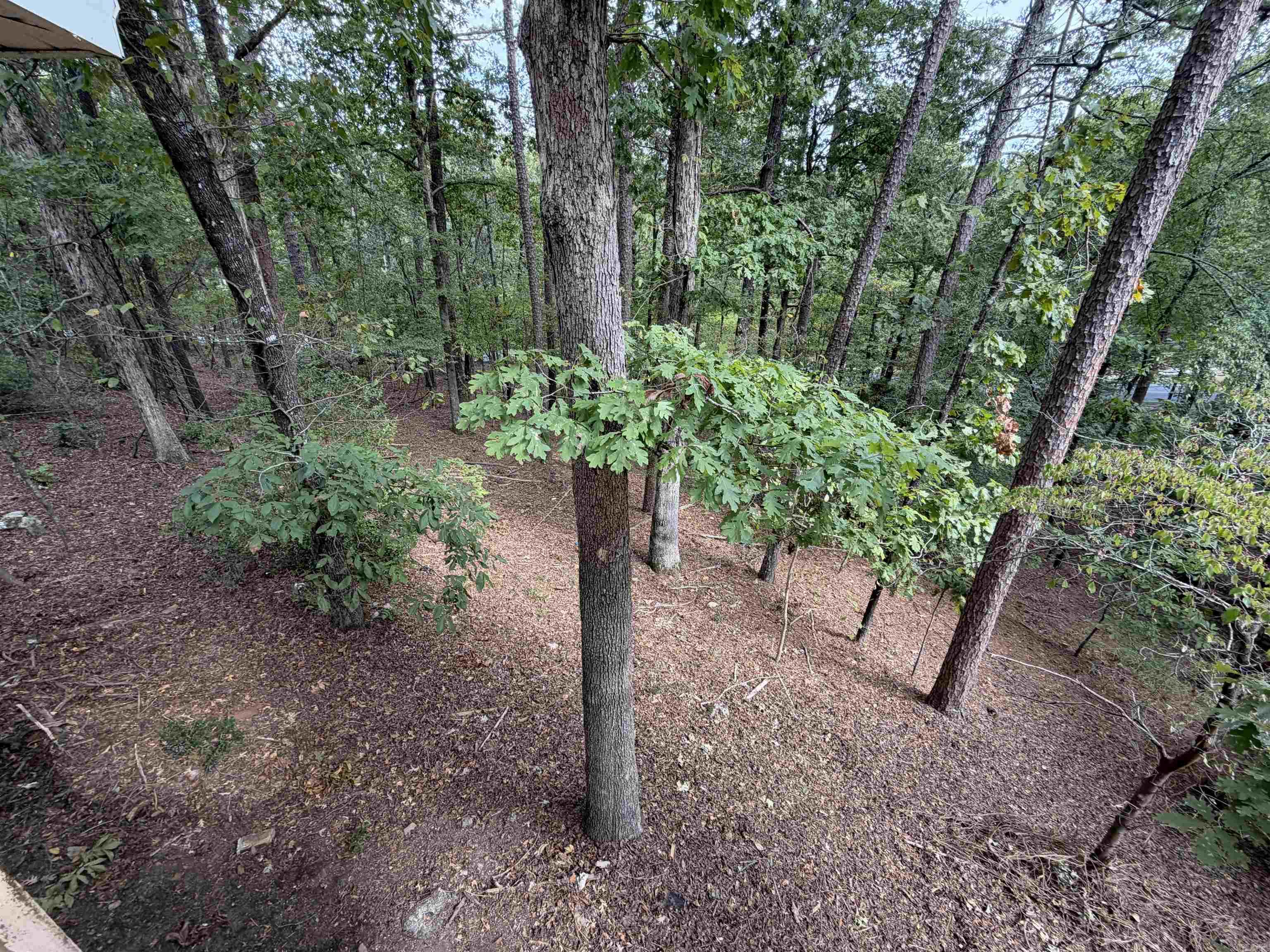 19 Malaga Circle Property Photo 7