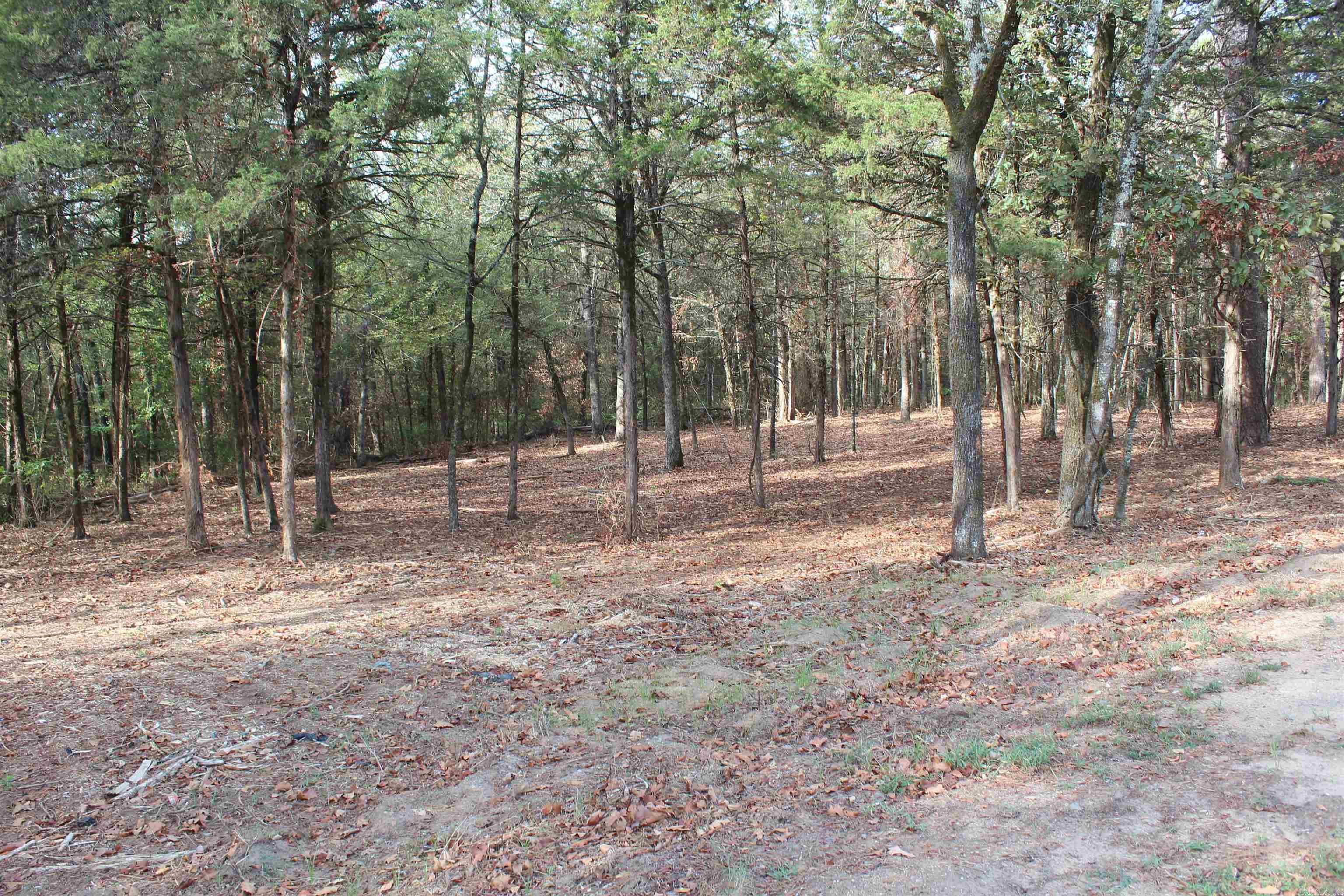 006 197 Property Photo 6