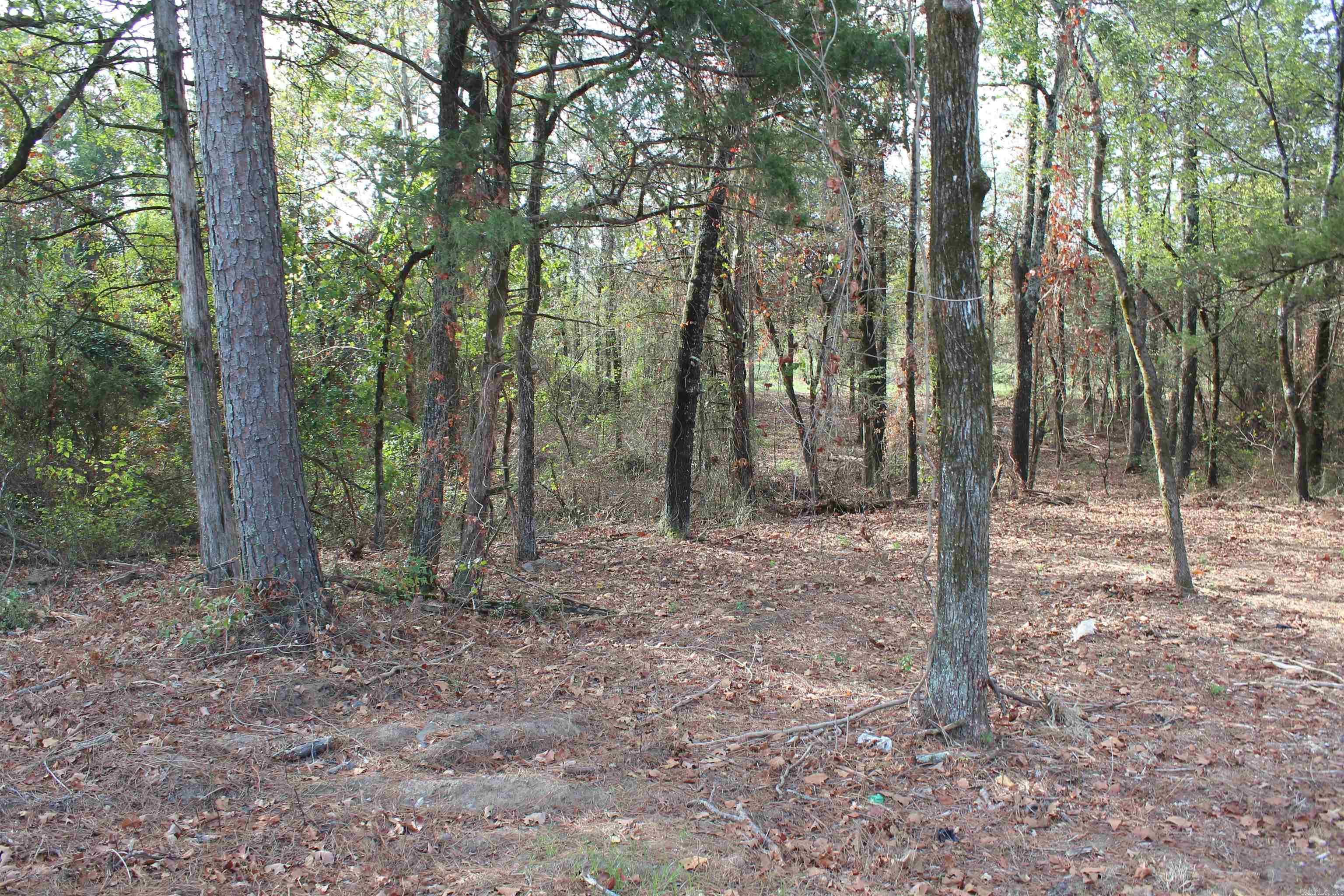 006 197 Property Photo 8