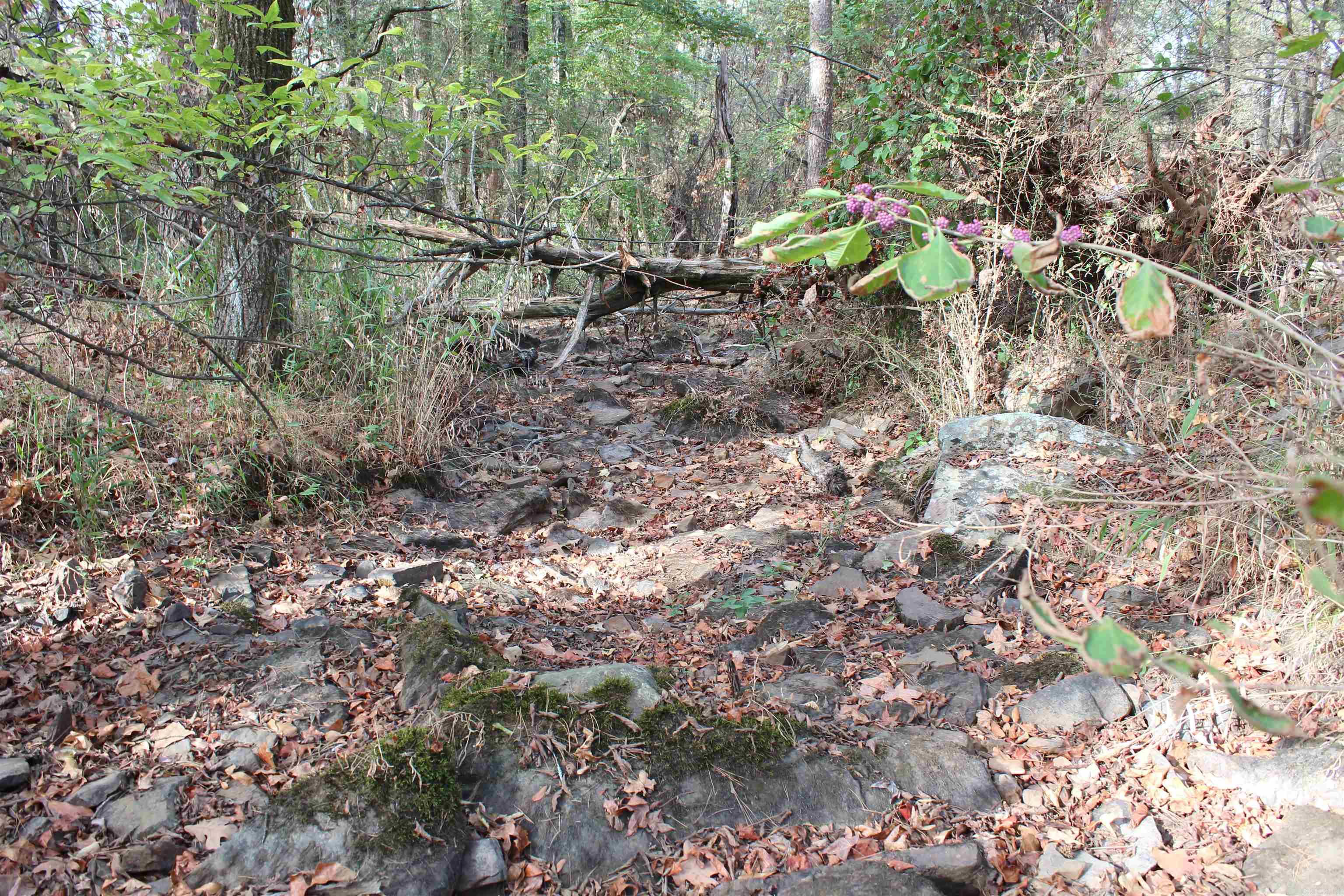 006 197 Property Photo 9