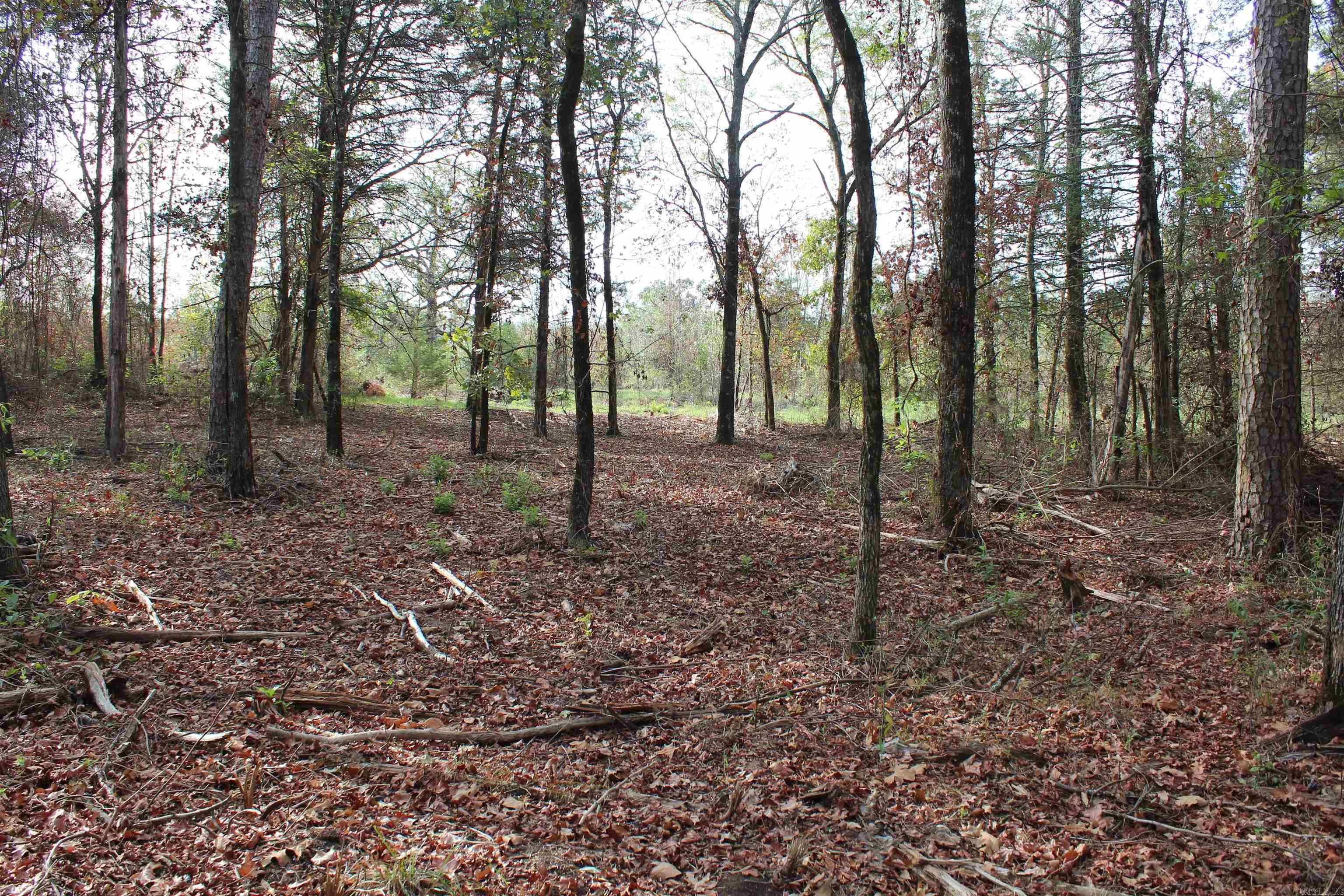 006 197 Property Photo 10