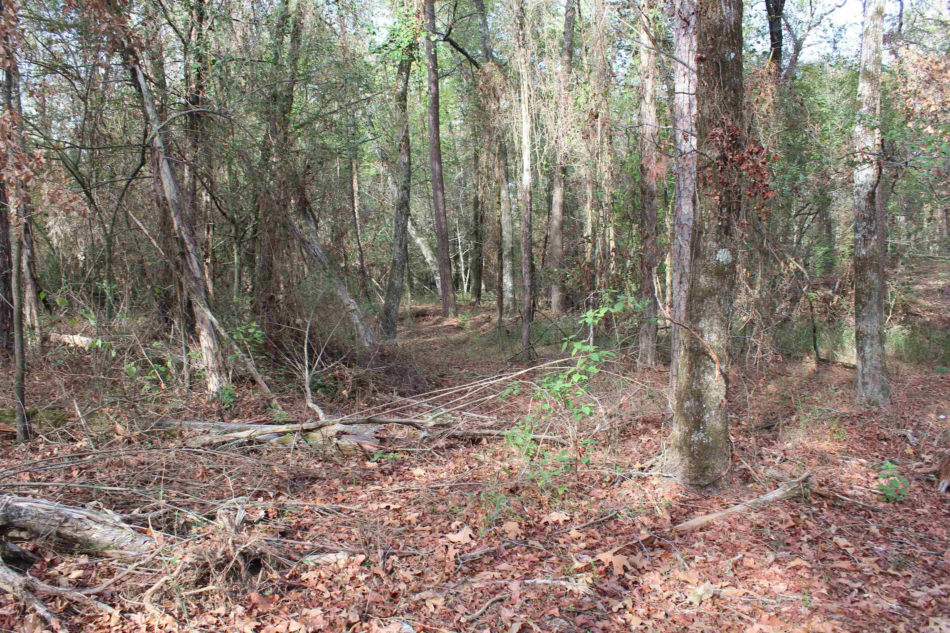 006 197 Property Photo 11