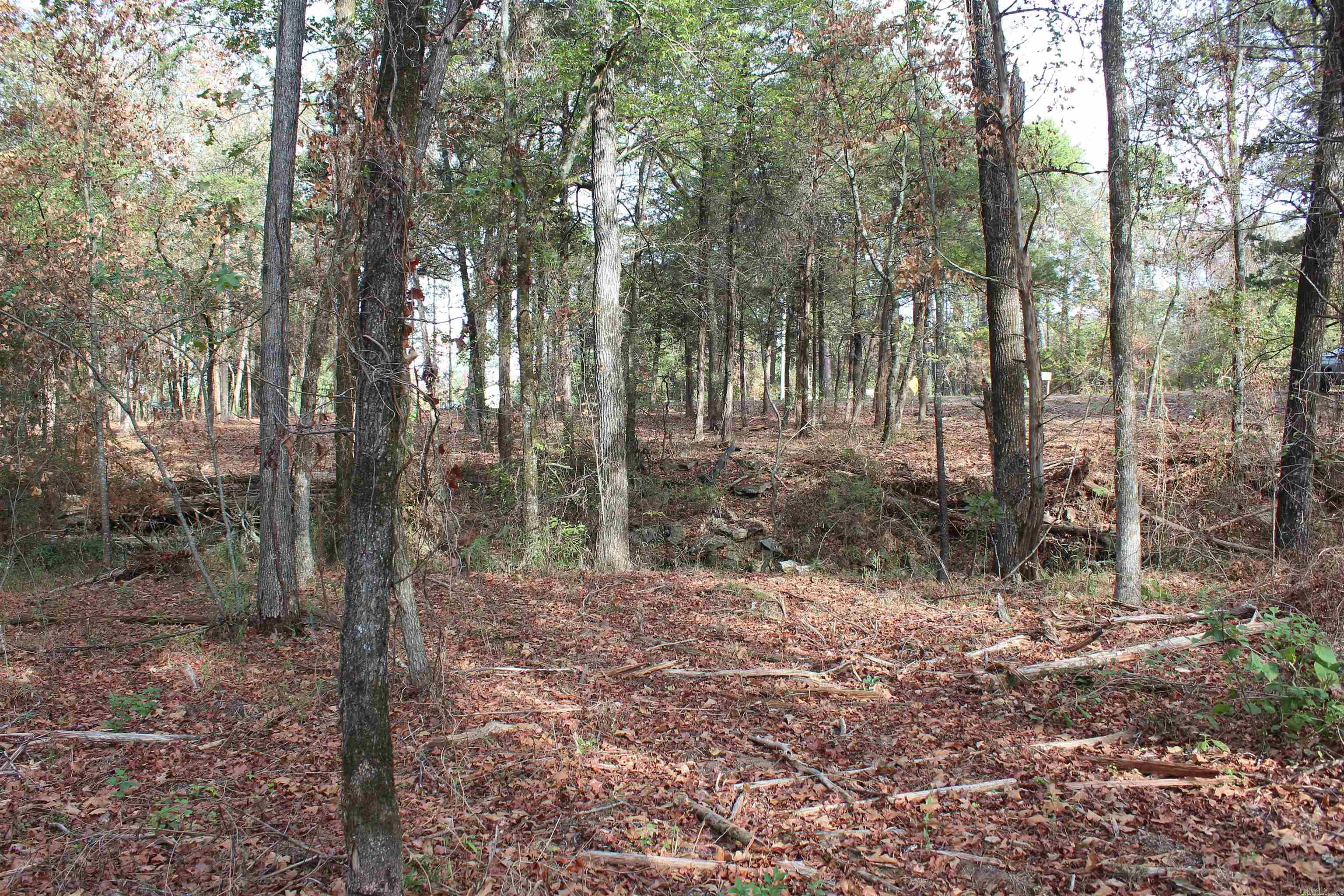 006 197 Property Photo 12