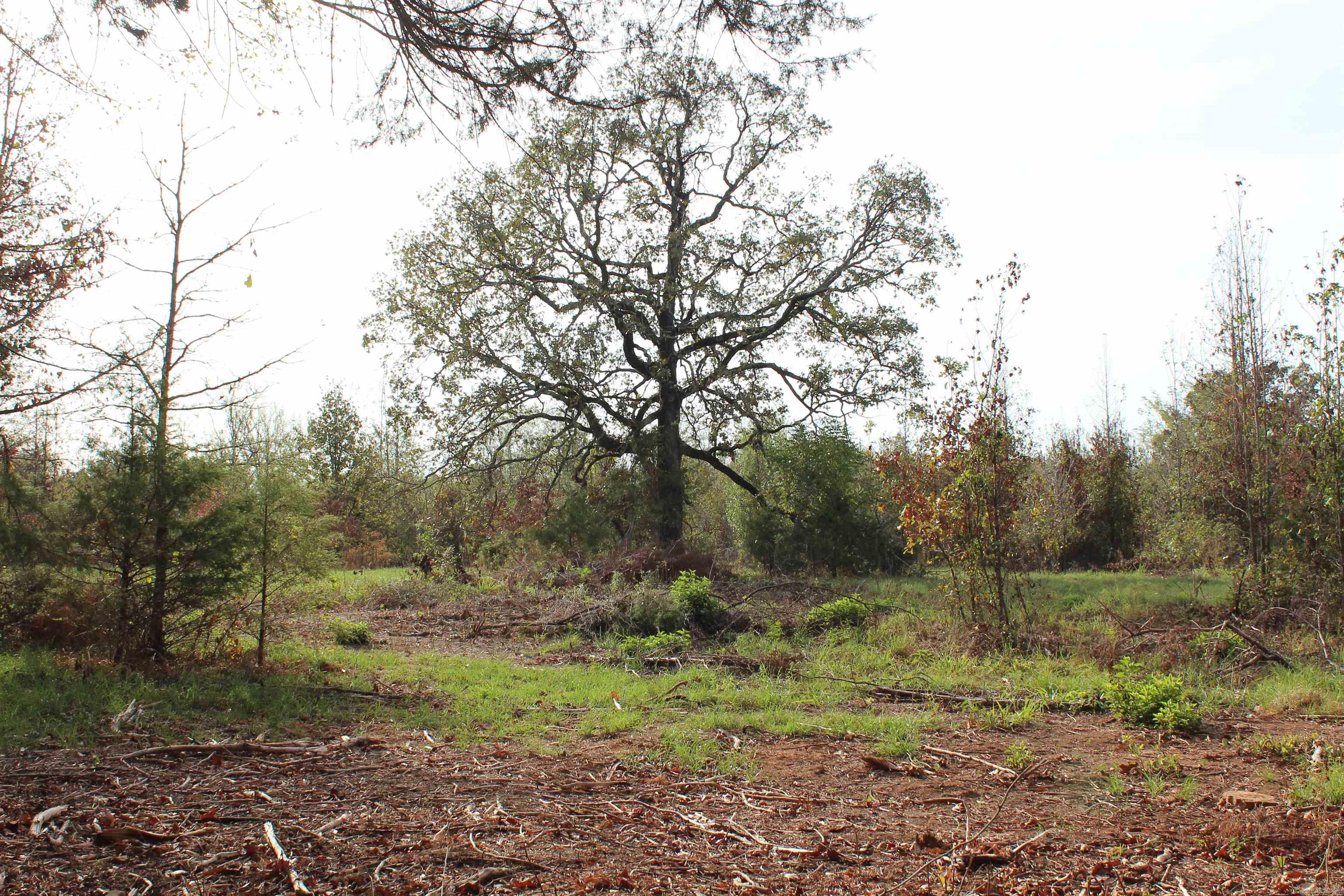 006 197 Property Photo 13