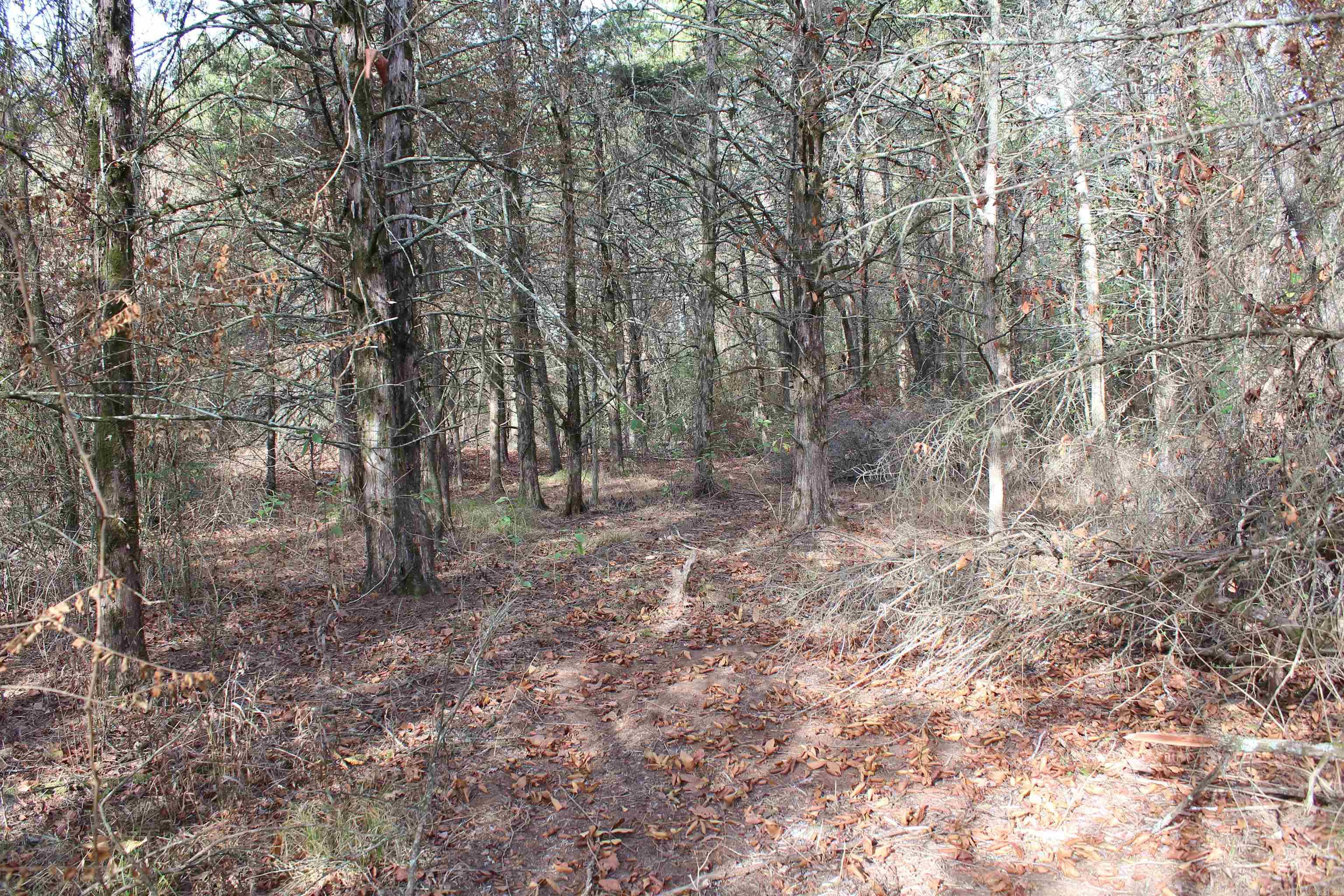 006 197 Property Photo 15