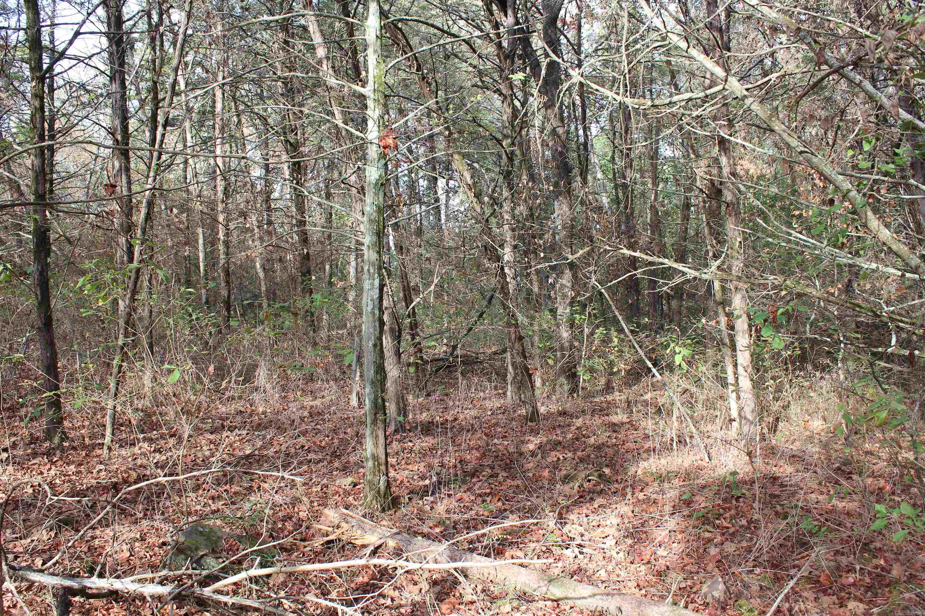 006 197 Property Photo 16