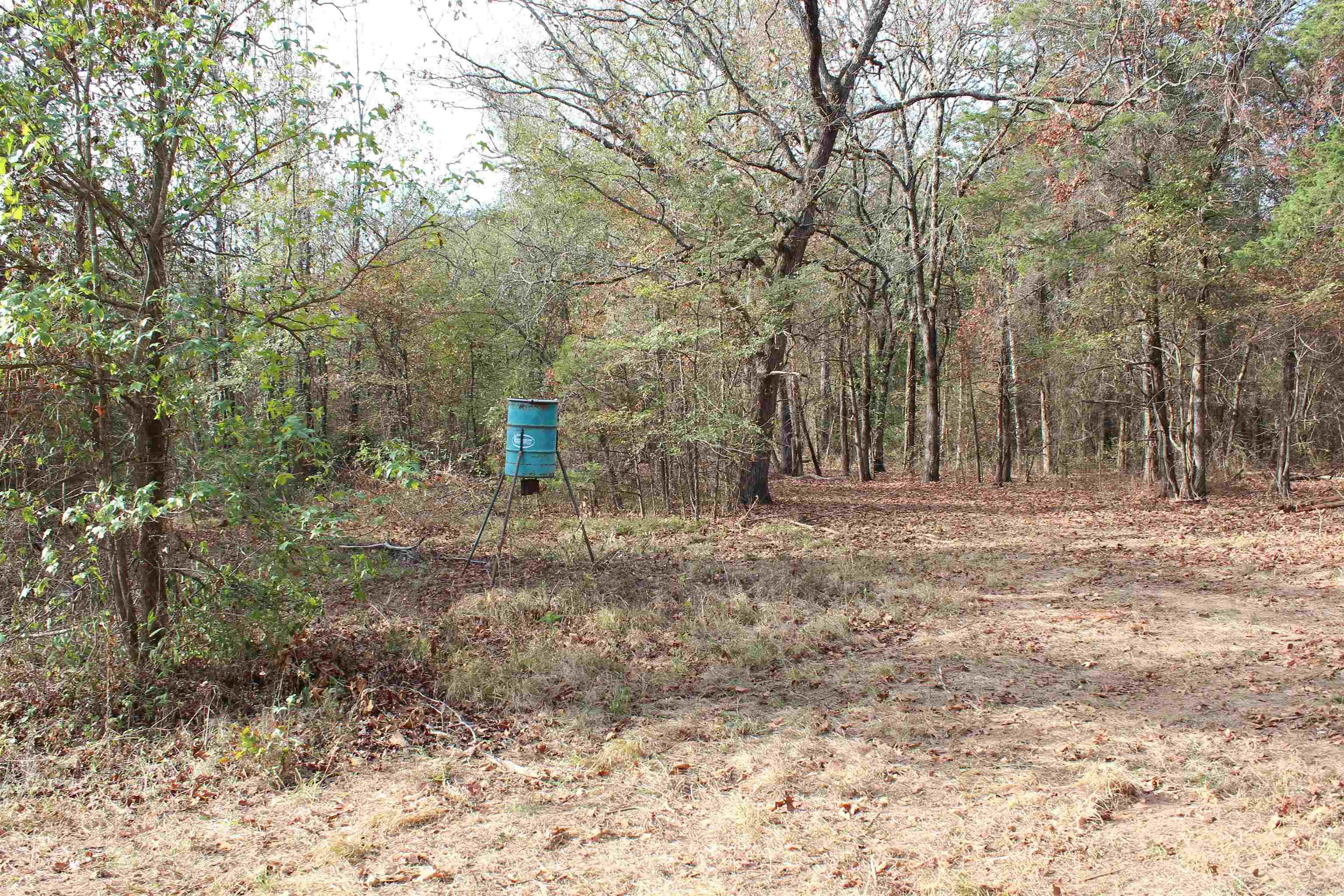 006 197 Property Photo 17