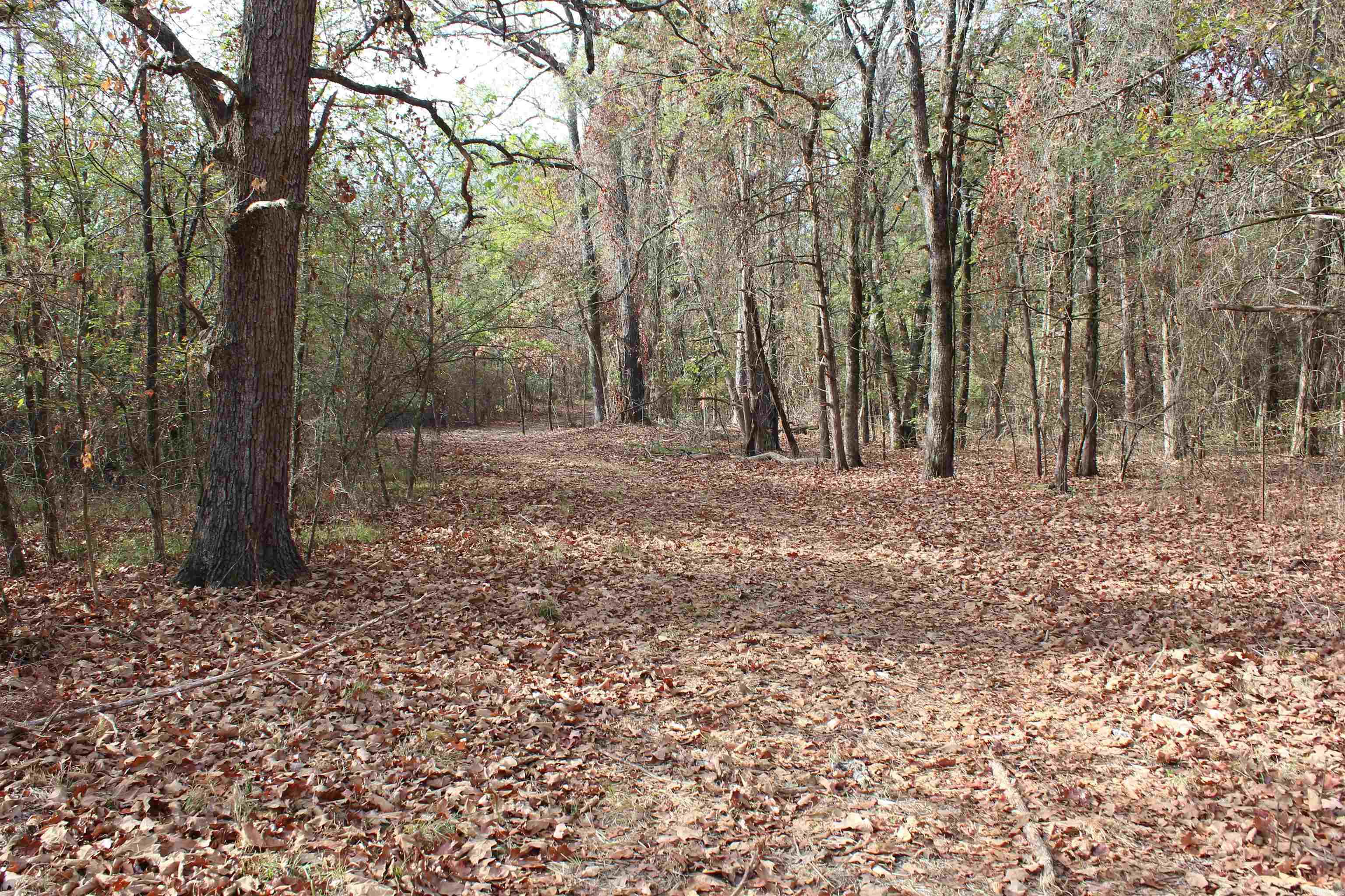006 197 Property Photo 18