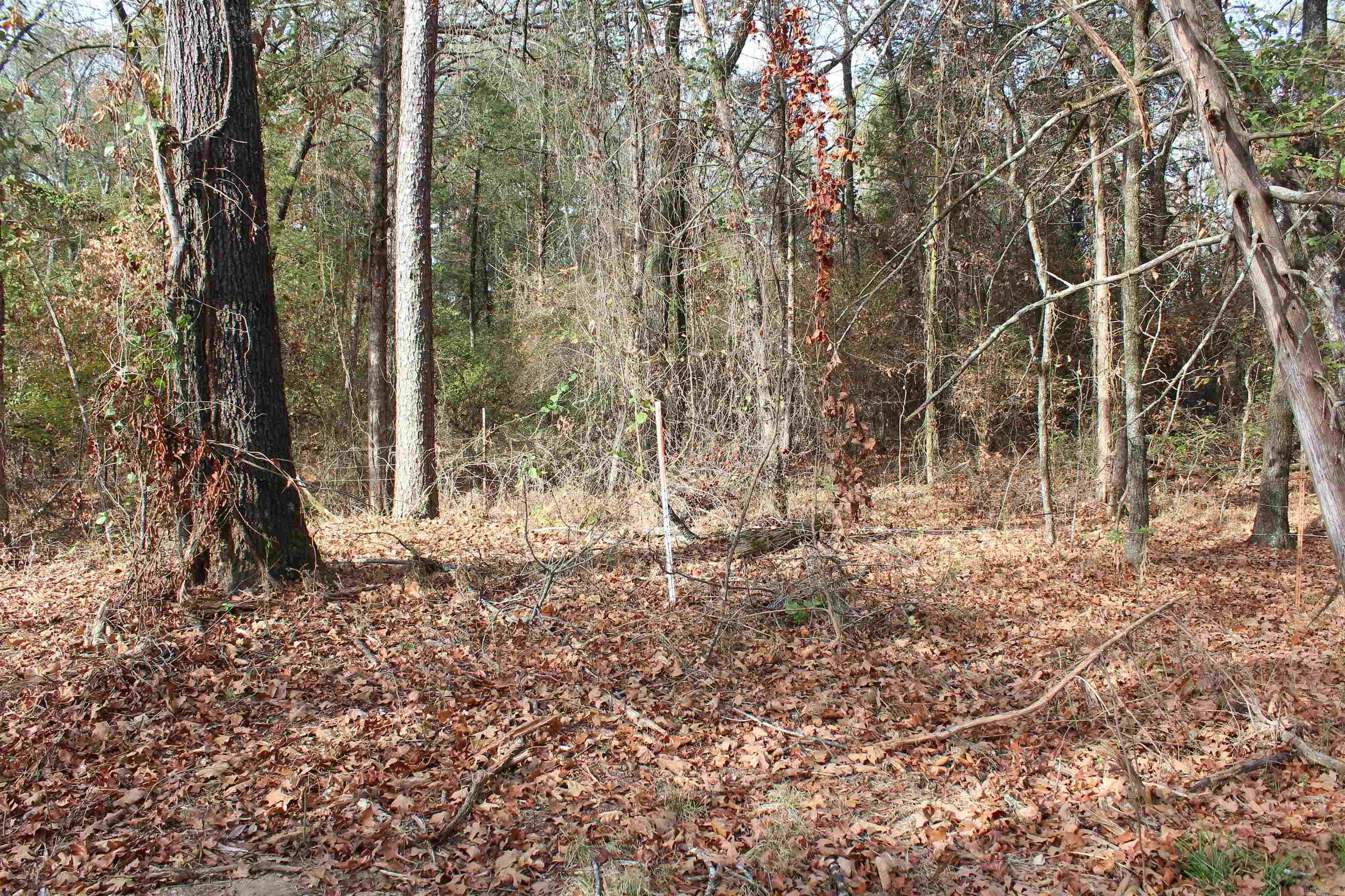 006 197 Property Photo 19