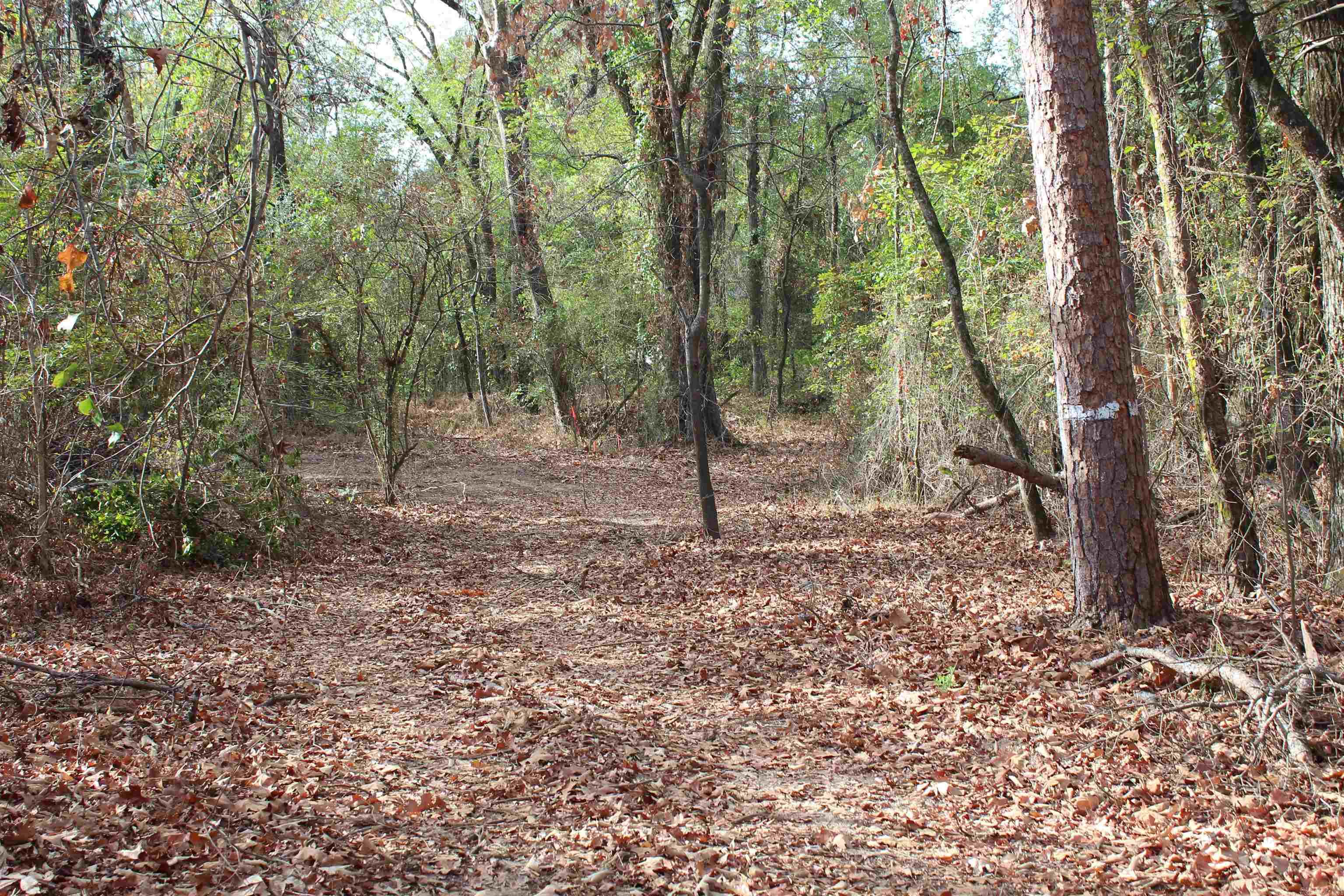 006 197 Property Photo 20