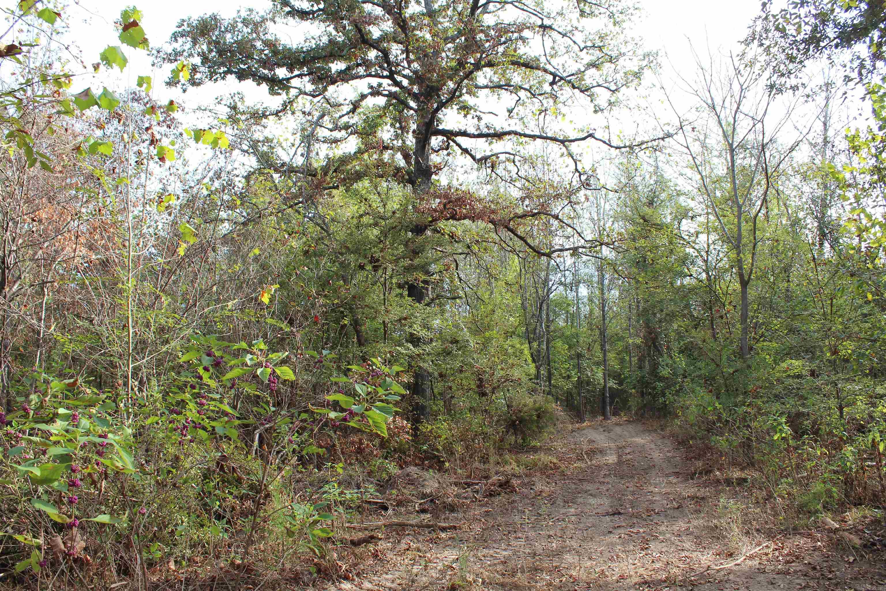 006 197 Property Photo 22