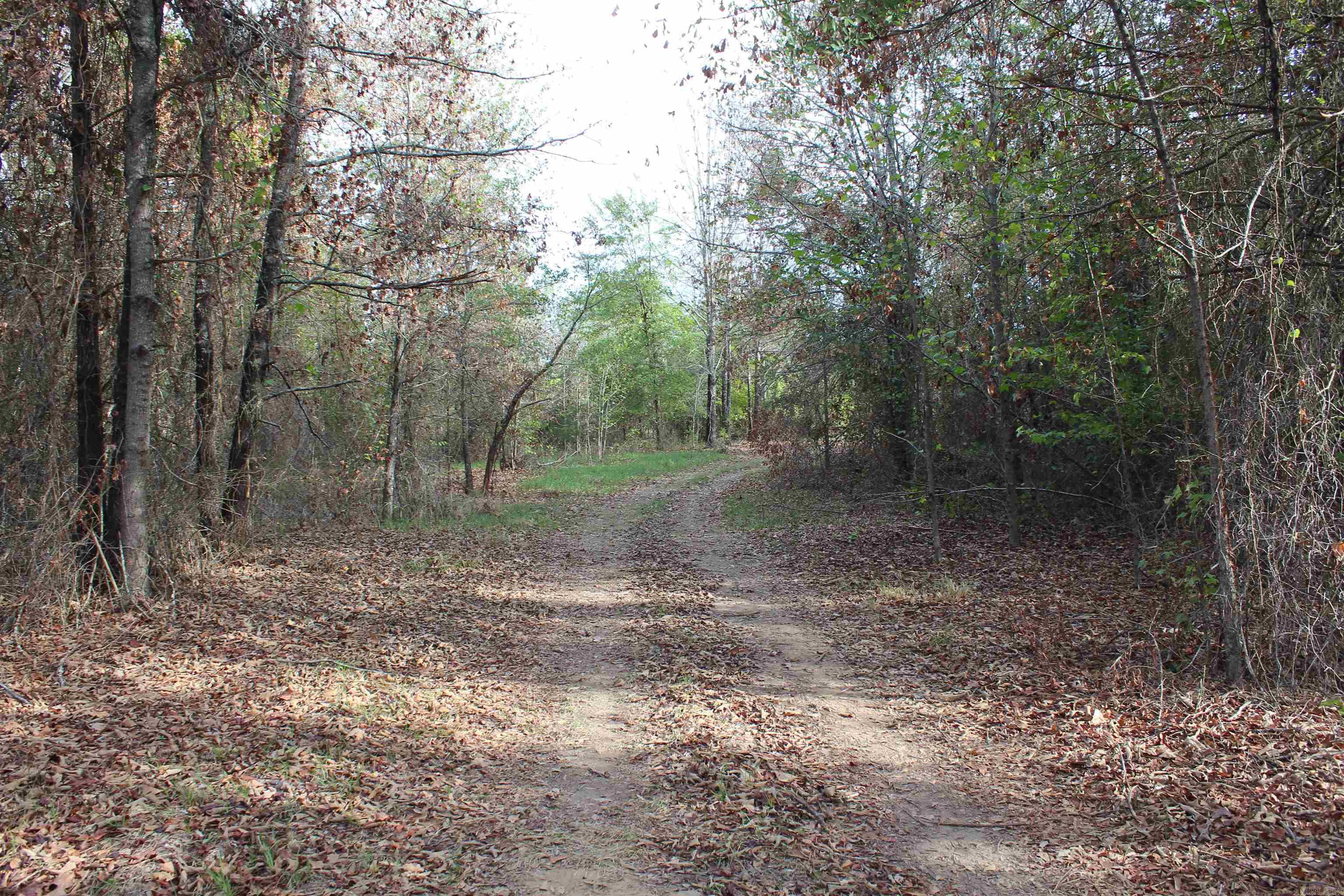 006 197 Property Photo 24