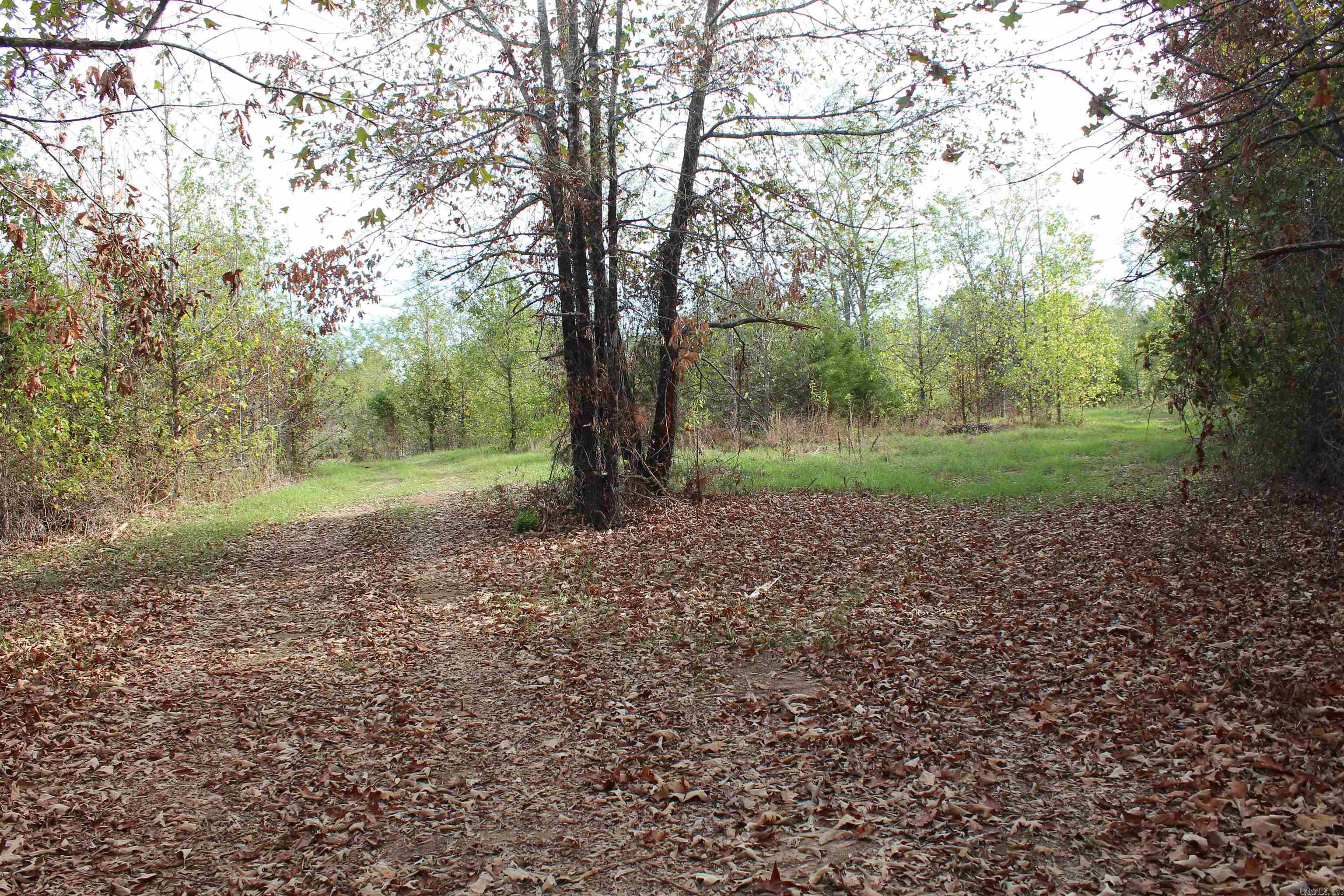 006 197 Property Photo 25